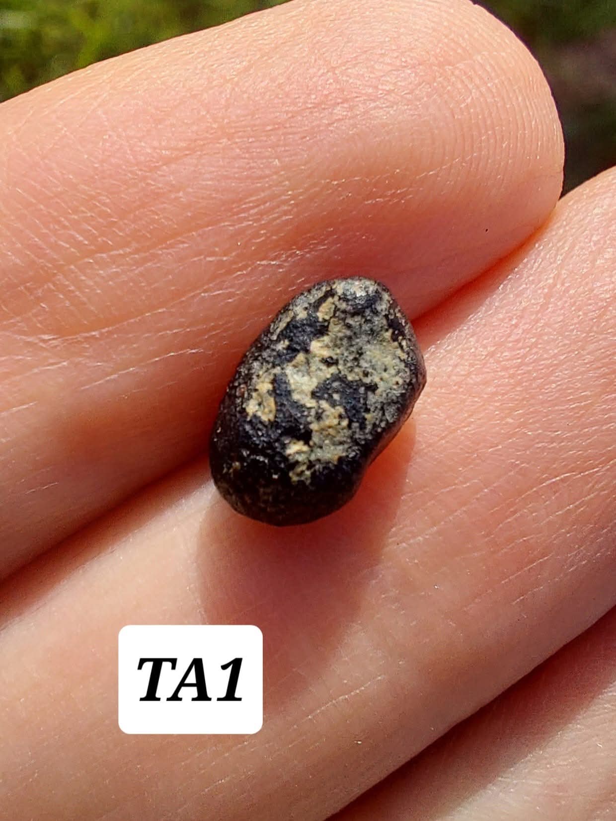 Atacamite, 0.43g, Tektite (Ref: TA1)