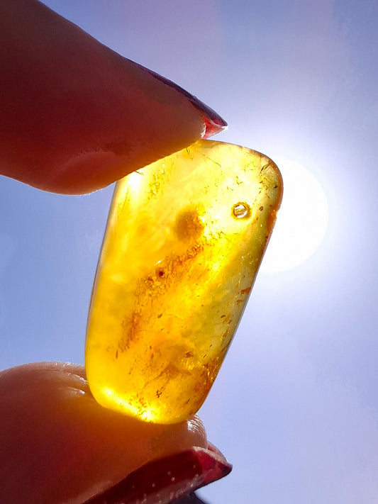 Baltic Amber, 1.55g, Fossil (Ref: A219)