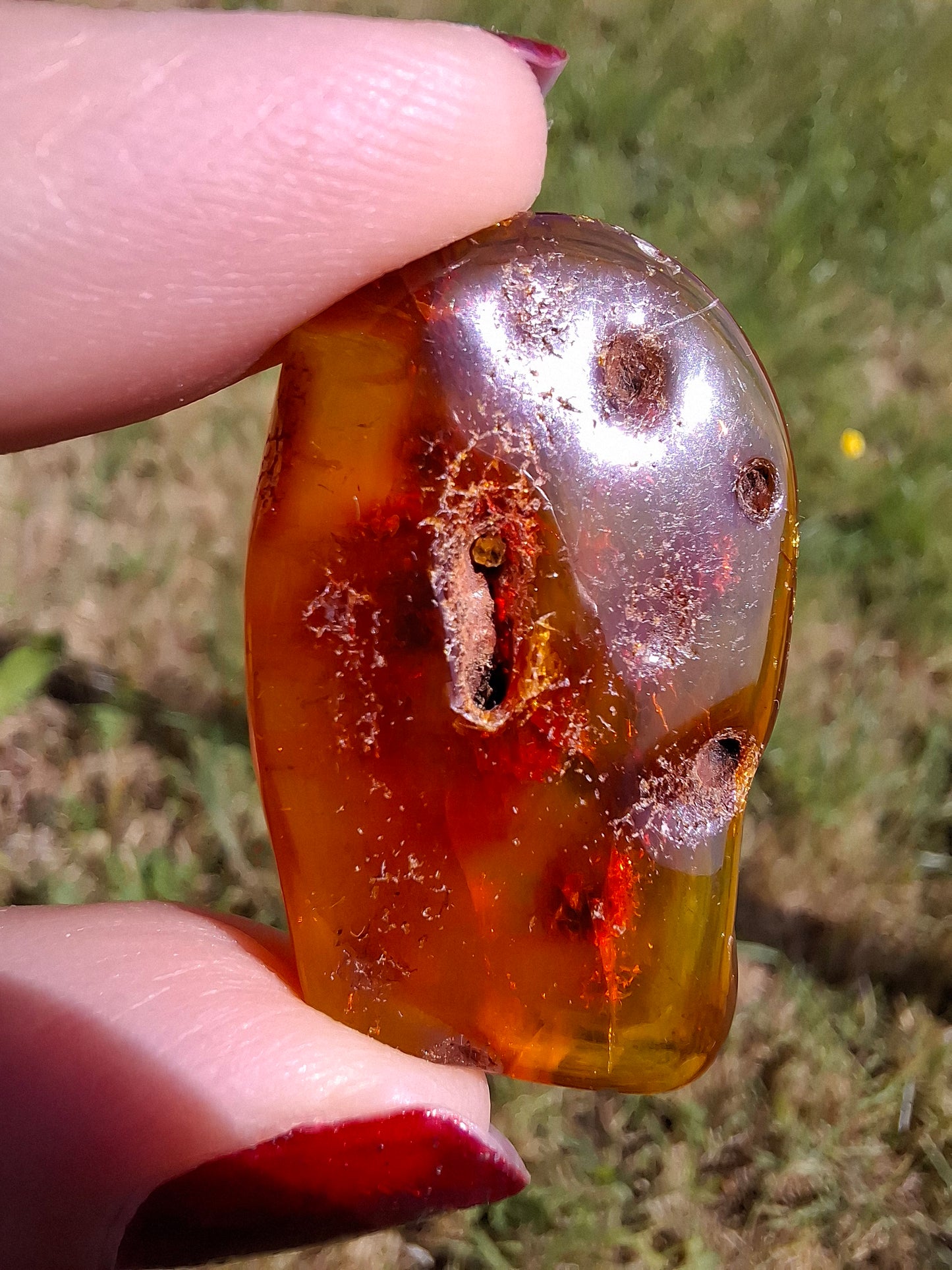 Baltic Amber, 4.50g, Fossil (Ref: A151)