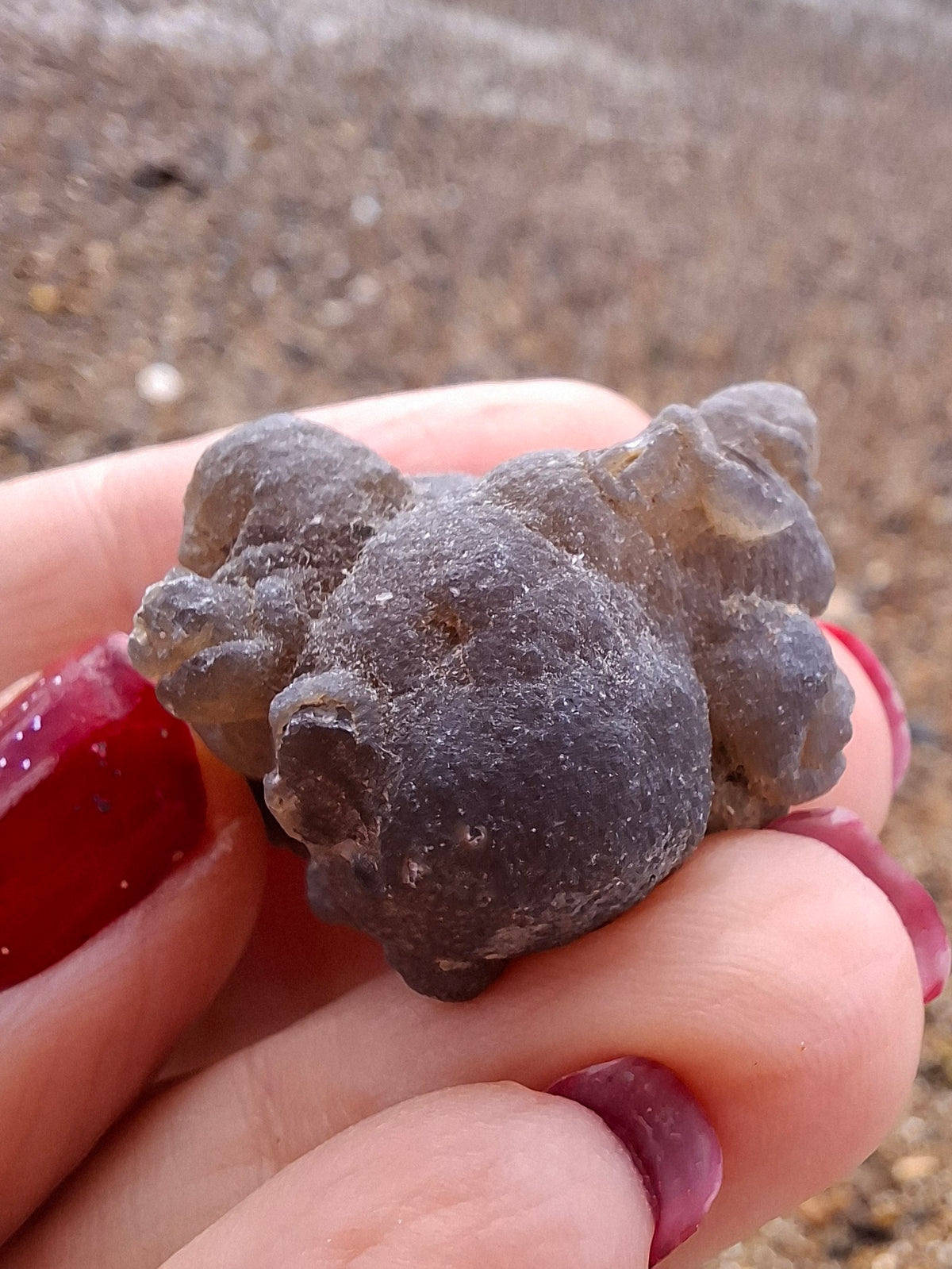 Nebula Chalcedony, 13.45g, Fossil (Ref: NC2)