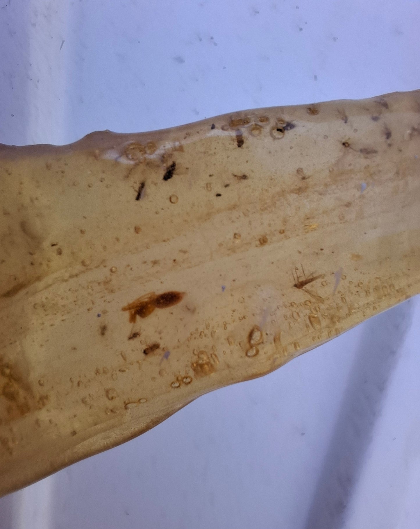 Copal Young Amber with INSECTS inside, 18.29g, Fossil (Ref: CA33)