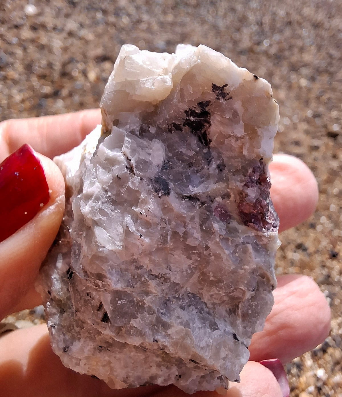 (Dig your own) Garnet in Matrix, Crystal (Ref: RG3)