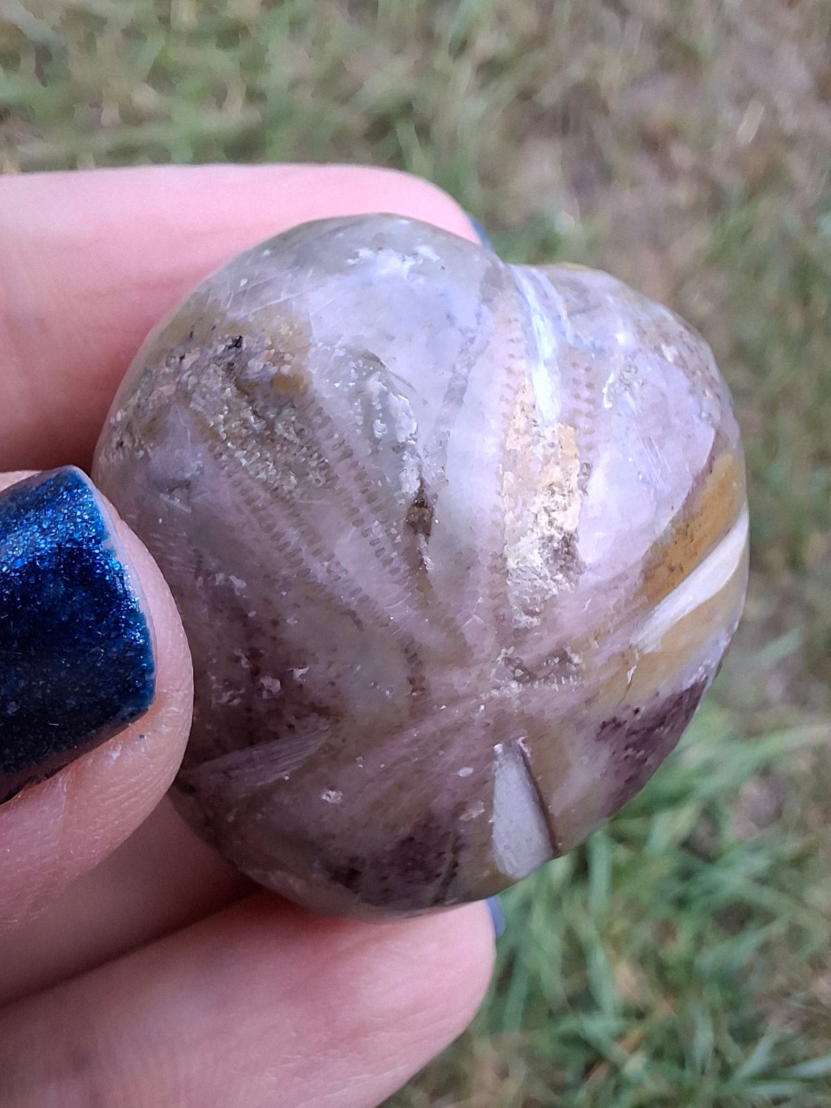 Polished Sea Urchin, Fossil (Ref: SU6)