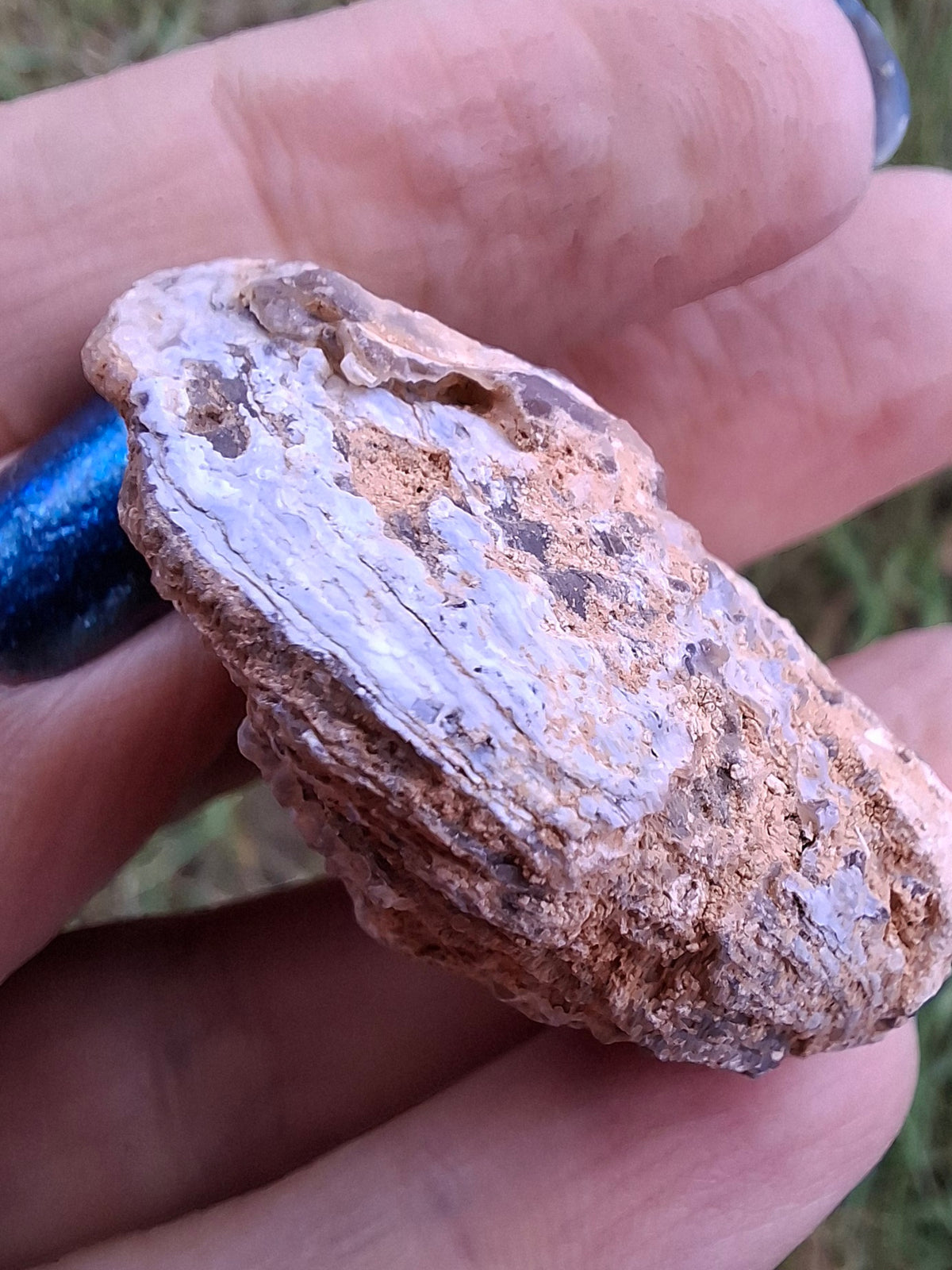 Chalcedony Oyster, Fossil (Ref: FO6)