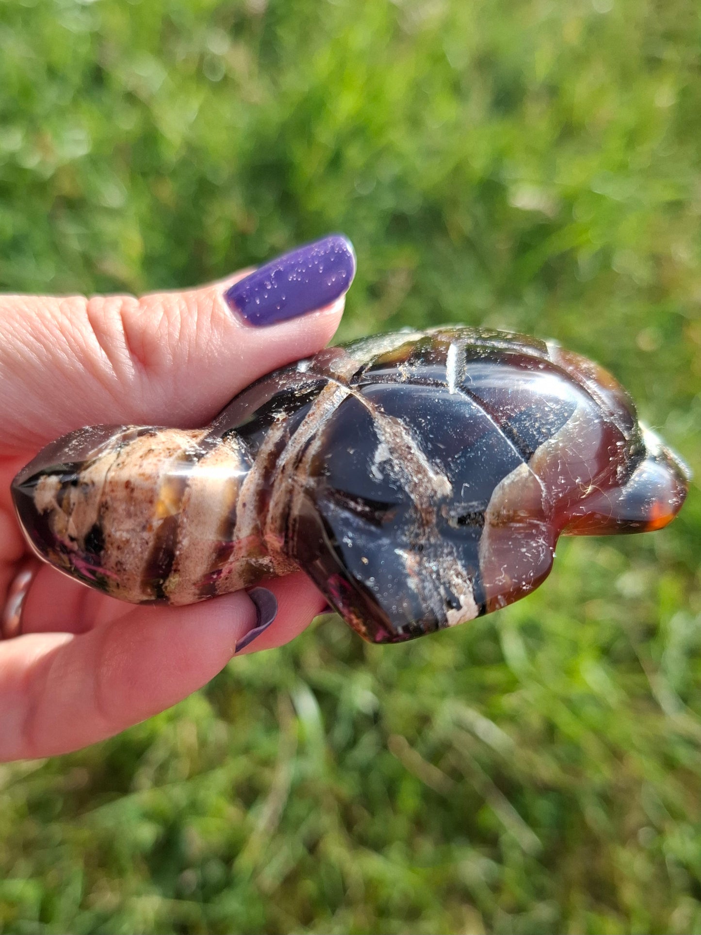 Red Amber Turtle, 50.00g, Carving, Fossil (Ref: TT6)