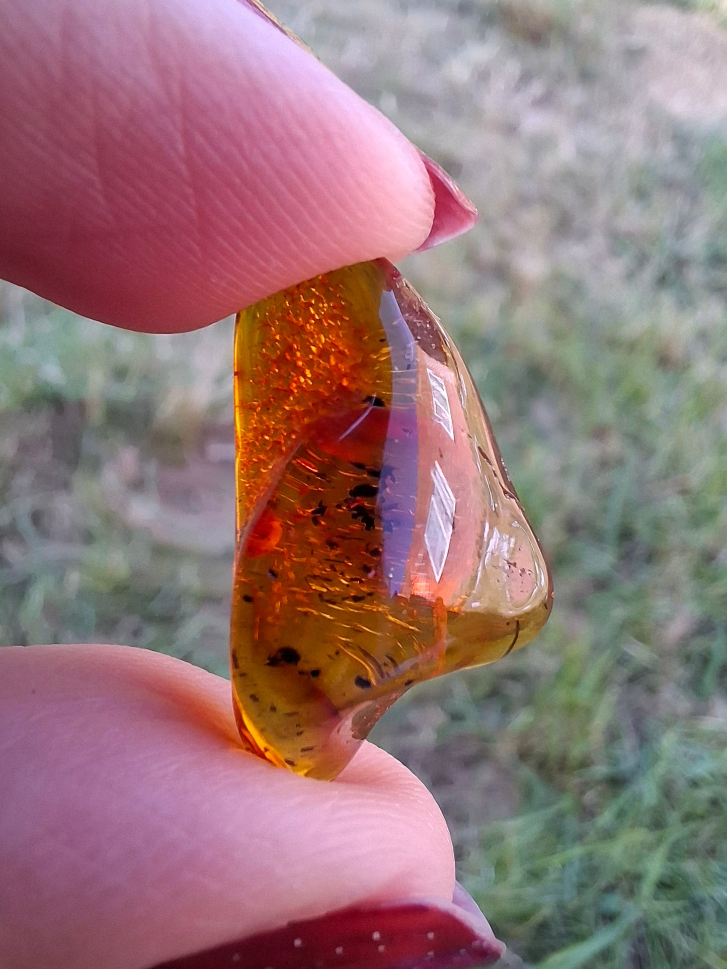 Baltic Amber, 1.47g, Fossil (Ref: A238)