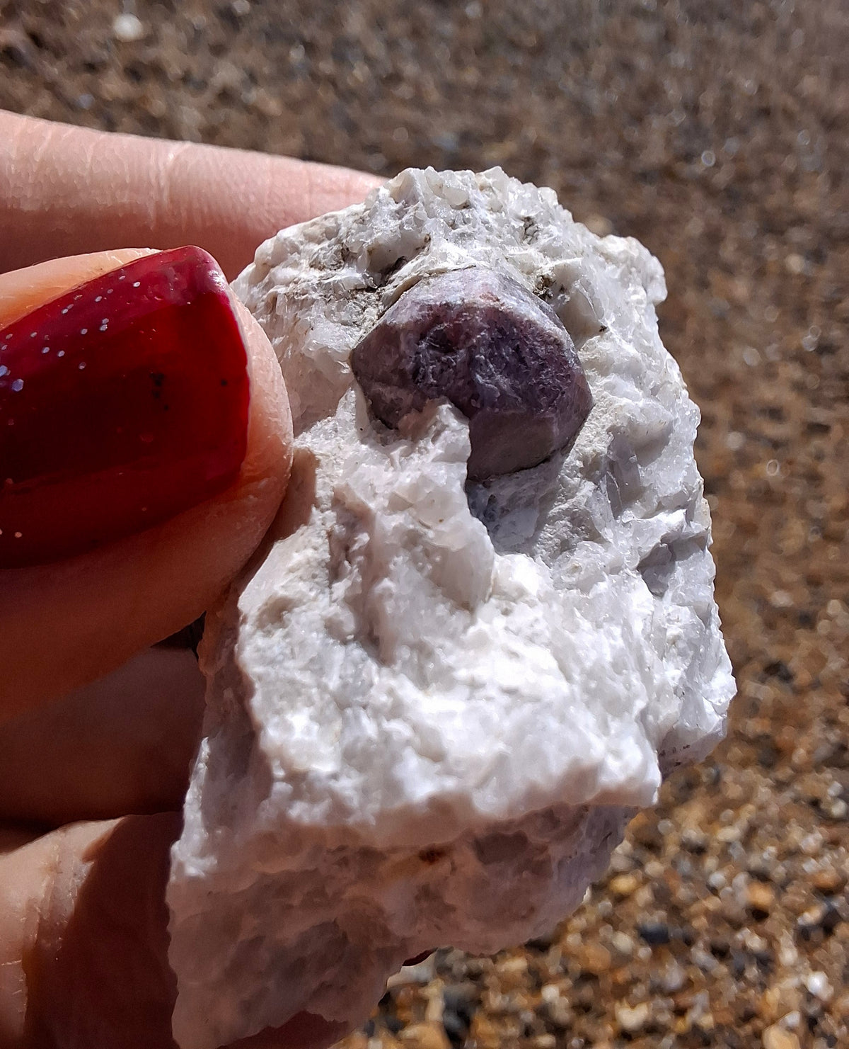 (Dig your own) Garnet in Matrix, Crystal (Ref: RG7)