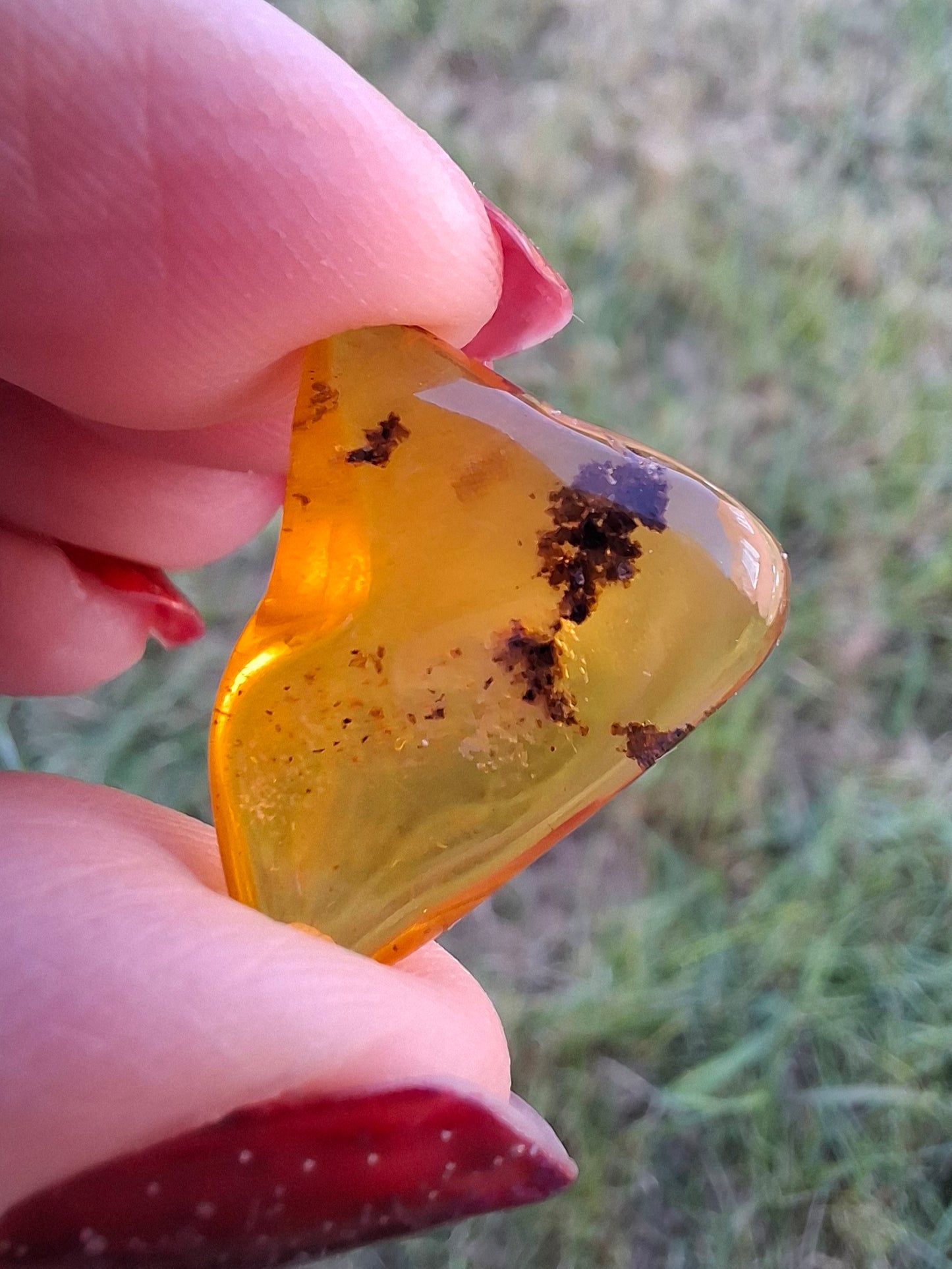 Baltic Amber, 0.91g, Fossil (Ref: A240)