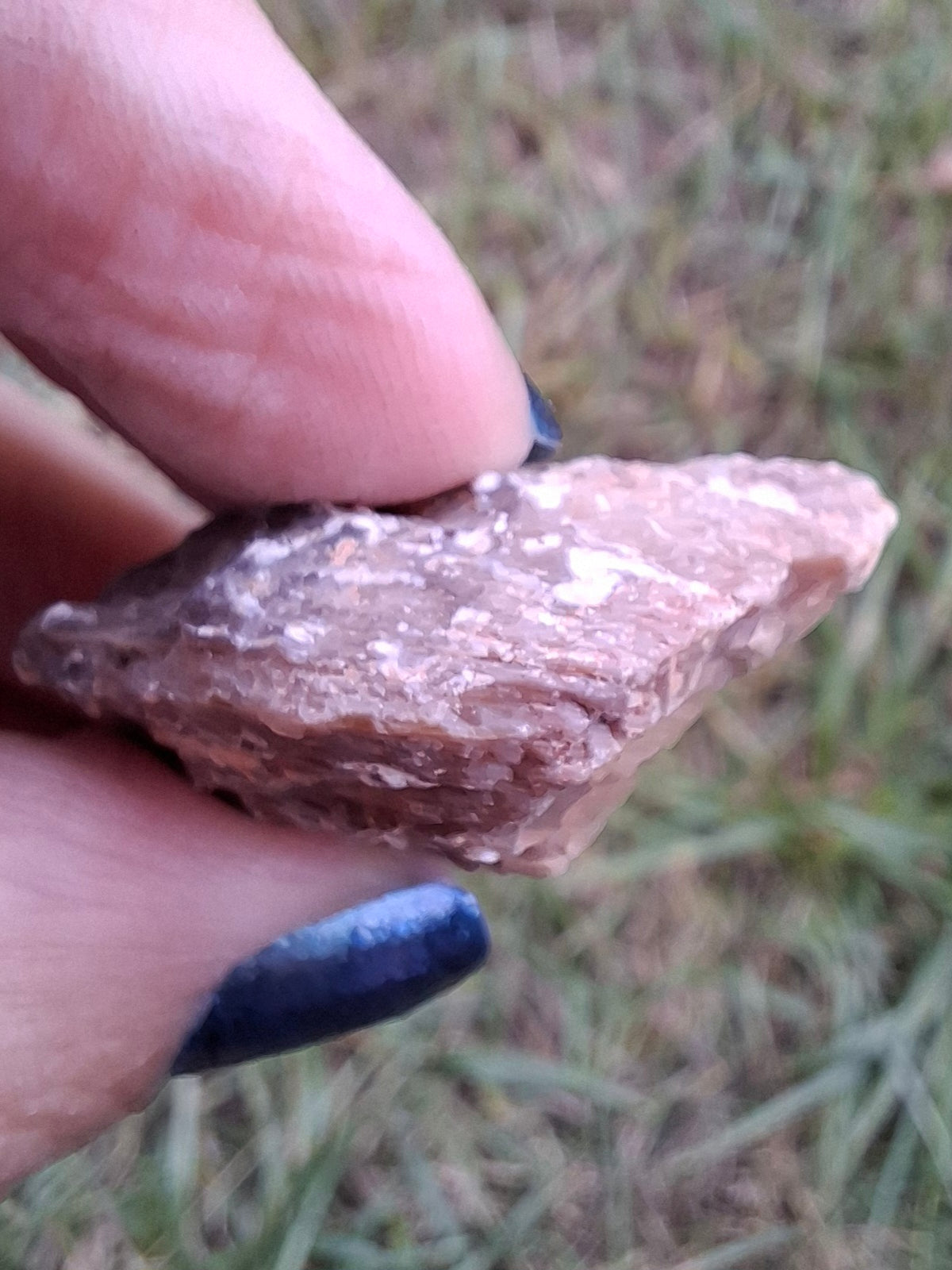 Chalcedony Oyster, Fossil (Ref: FO7)