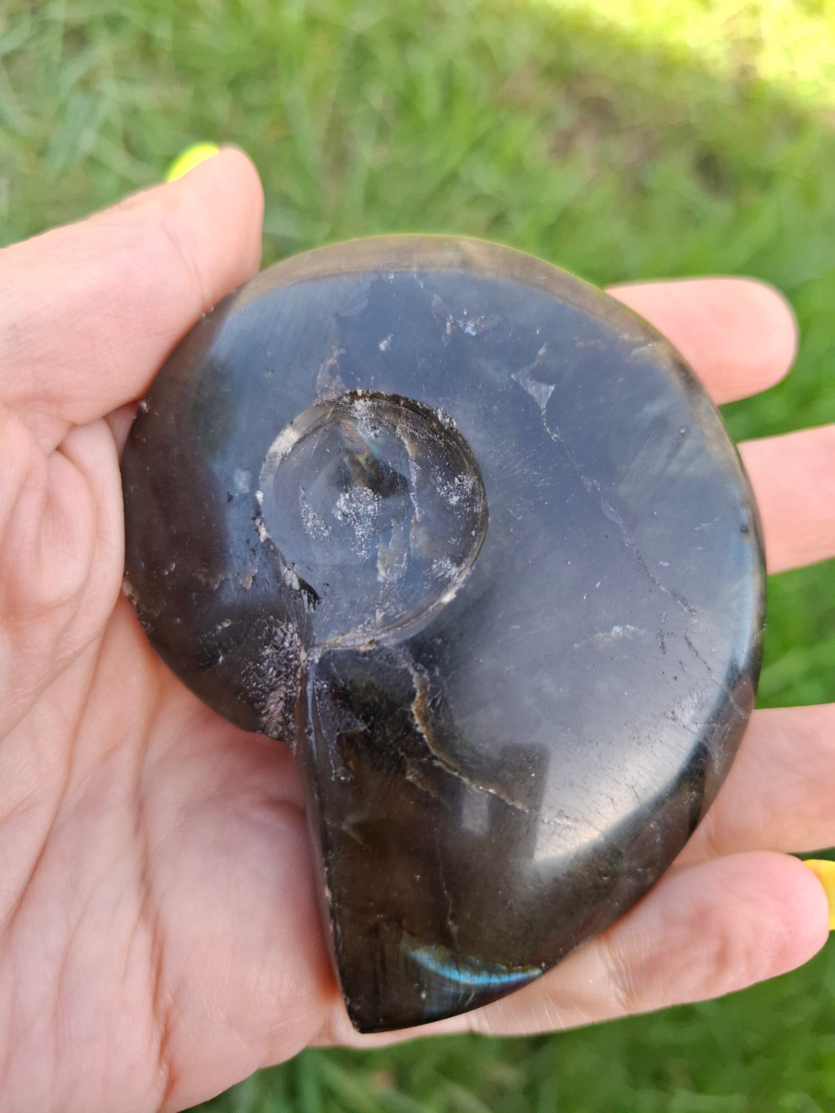 Labradorite Ammonite Carving, 160.21g, Crystal (Ref: laba4)