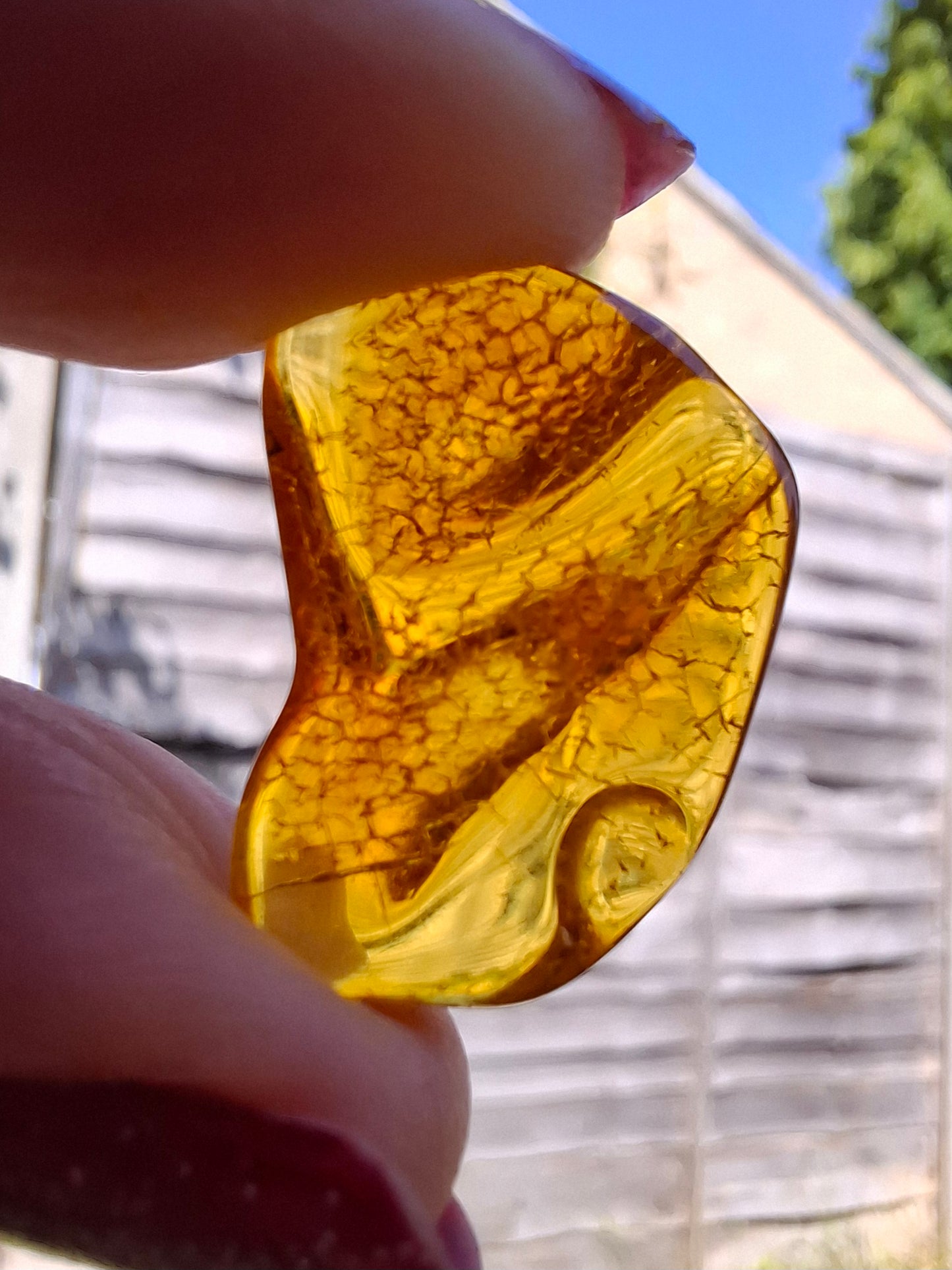 Baltic Amber, 1.07g, Fossil (Ref: A98)