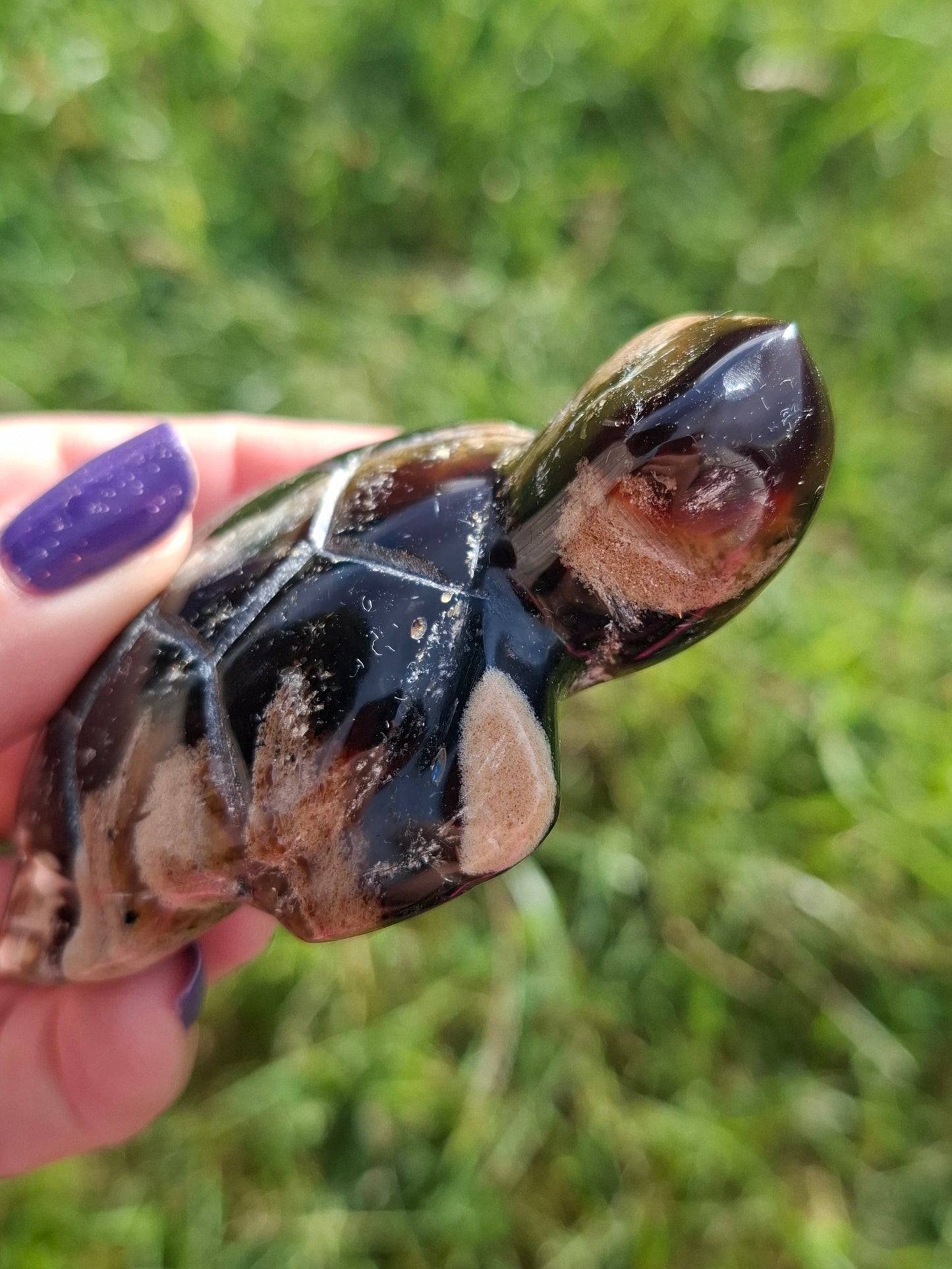 Red Amber Turtle, 50.00g, Carving, Fossil (Ref: TT6)