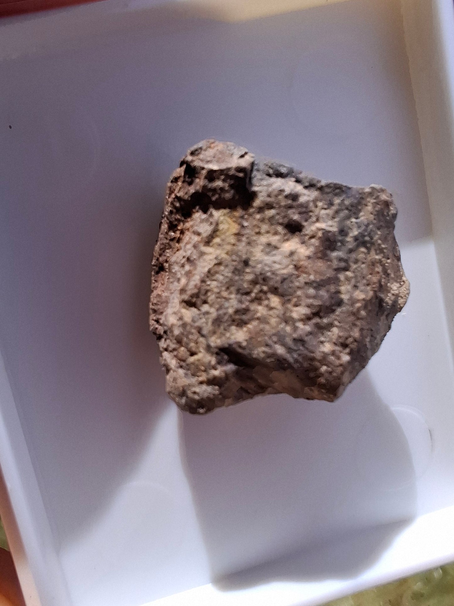 Chondrite, Meteorite (Ref: CM6)