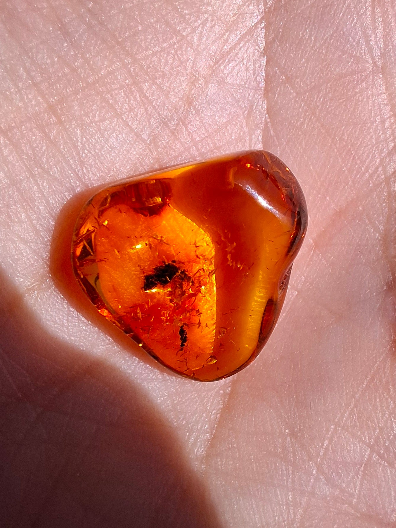 Baltic Amber, 0.97g, Fossil (Ref: A249)