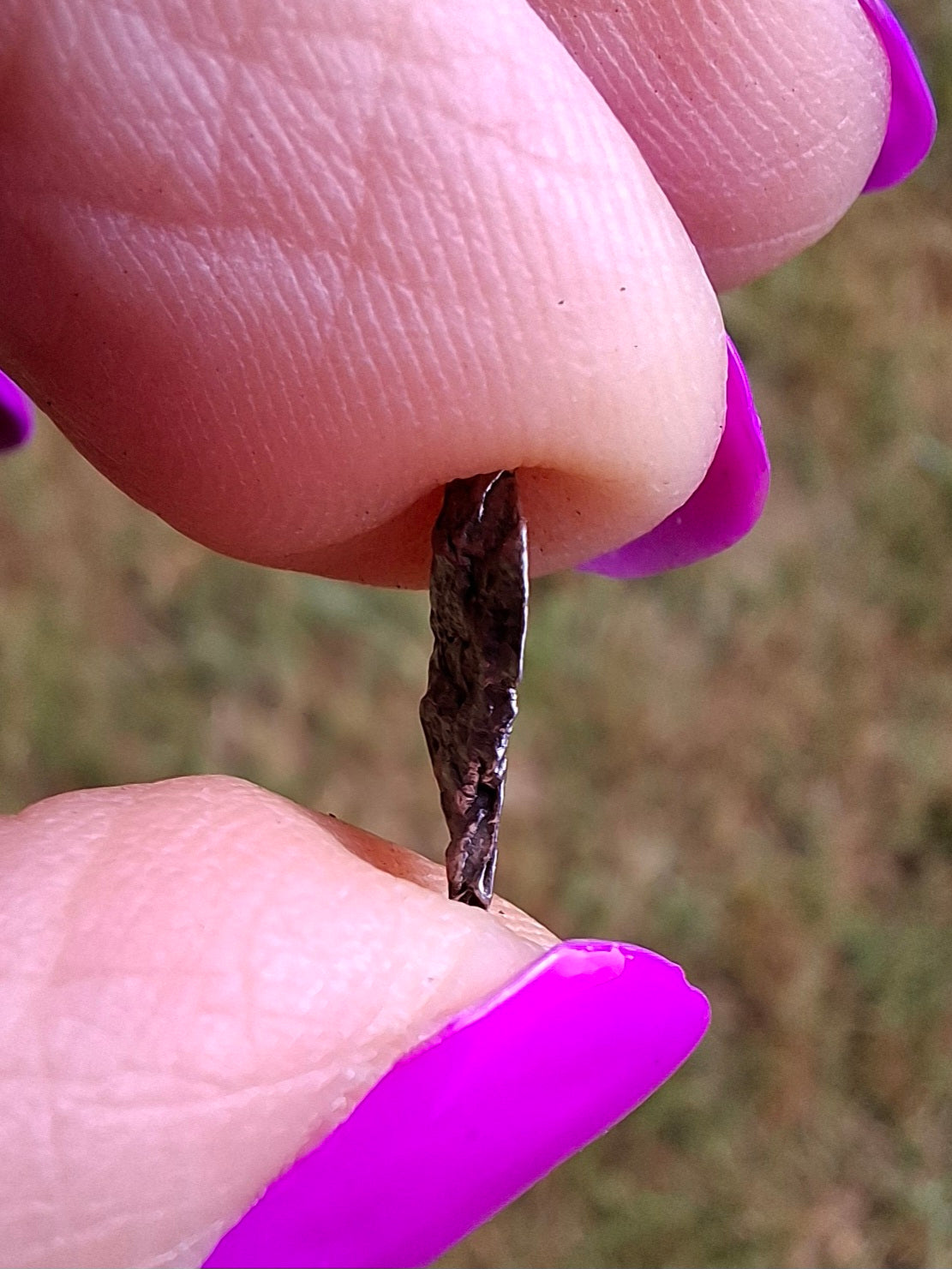 Campo del Cielo, 0.37g, Nickel Iron Meteorite (Ref: C13)
