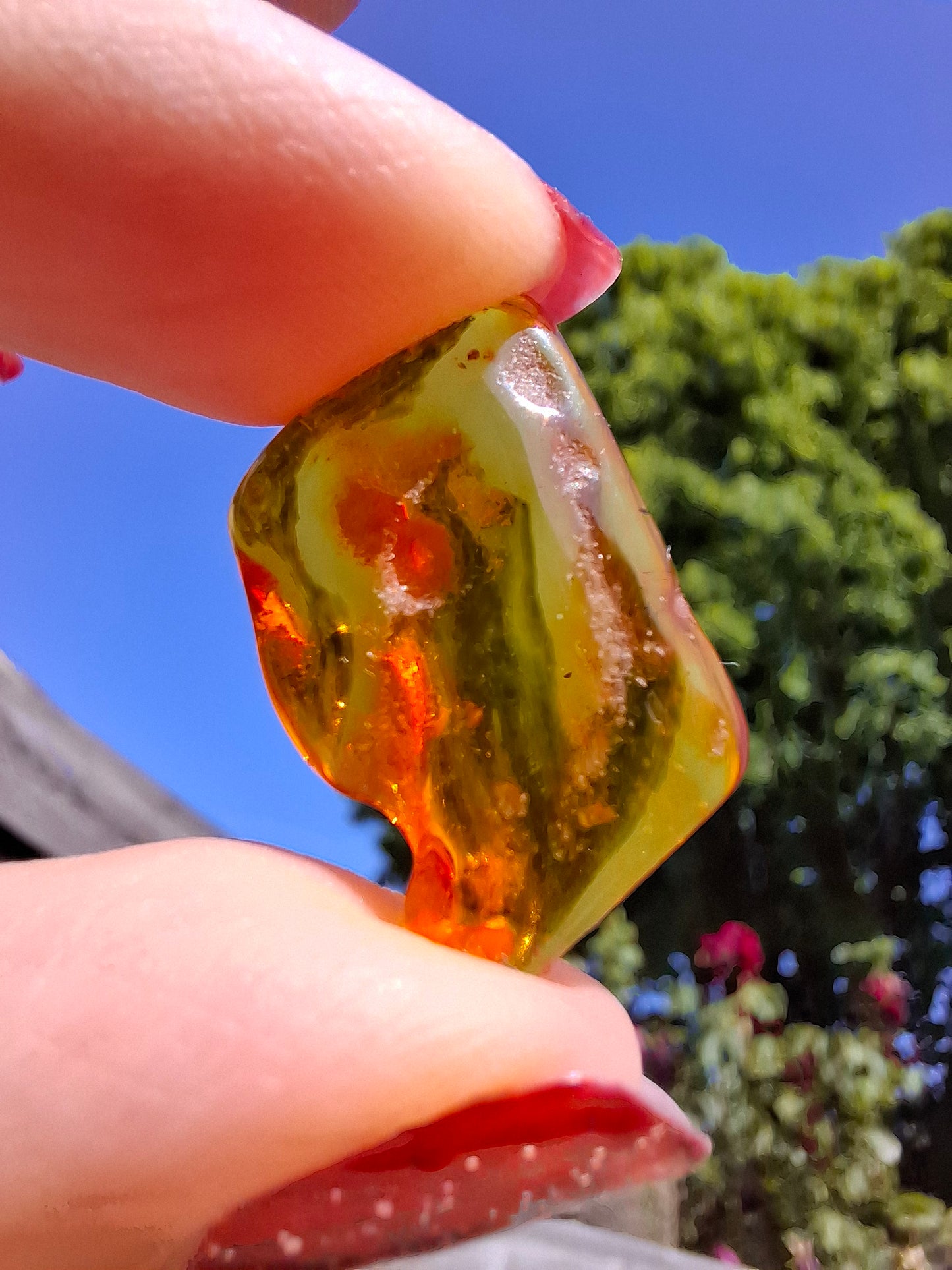 Baltic Amber, 1.40g, Fossil (Ref: A187)