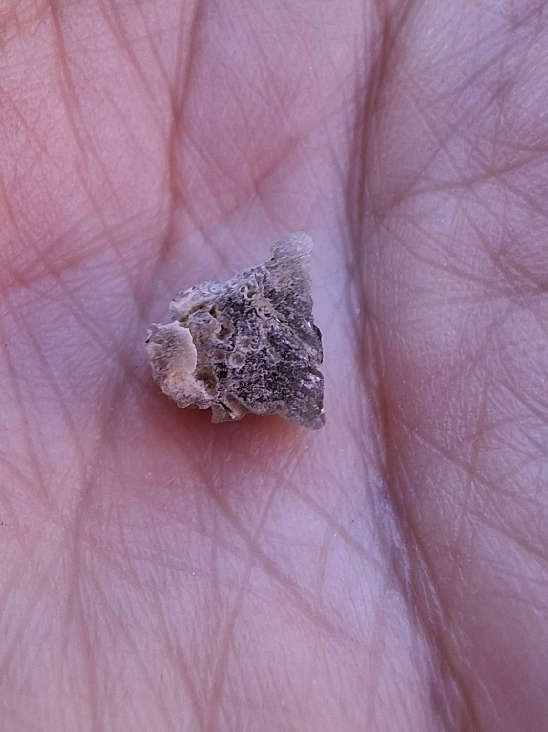 Moldavite Piece, SNOWFLAKE, FROSTED, BRUSNA, 0.36g, Tektite (Ref: 1506)