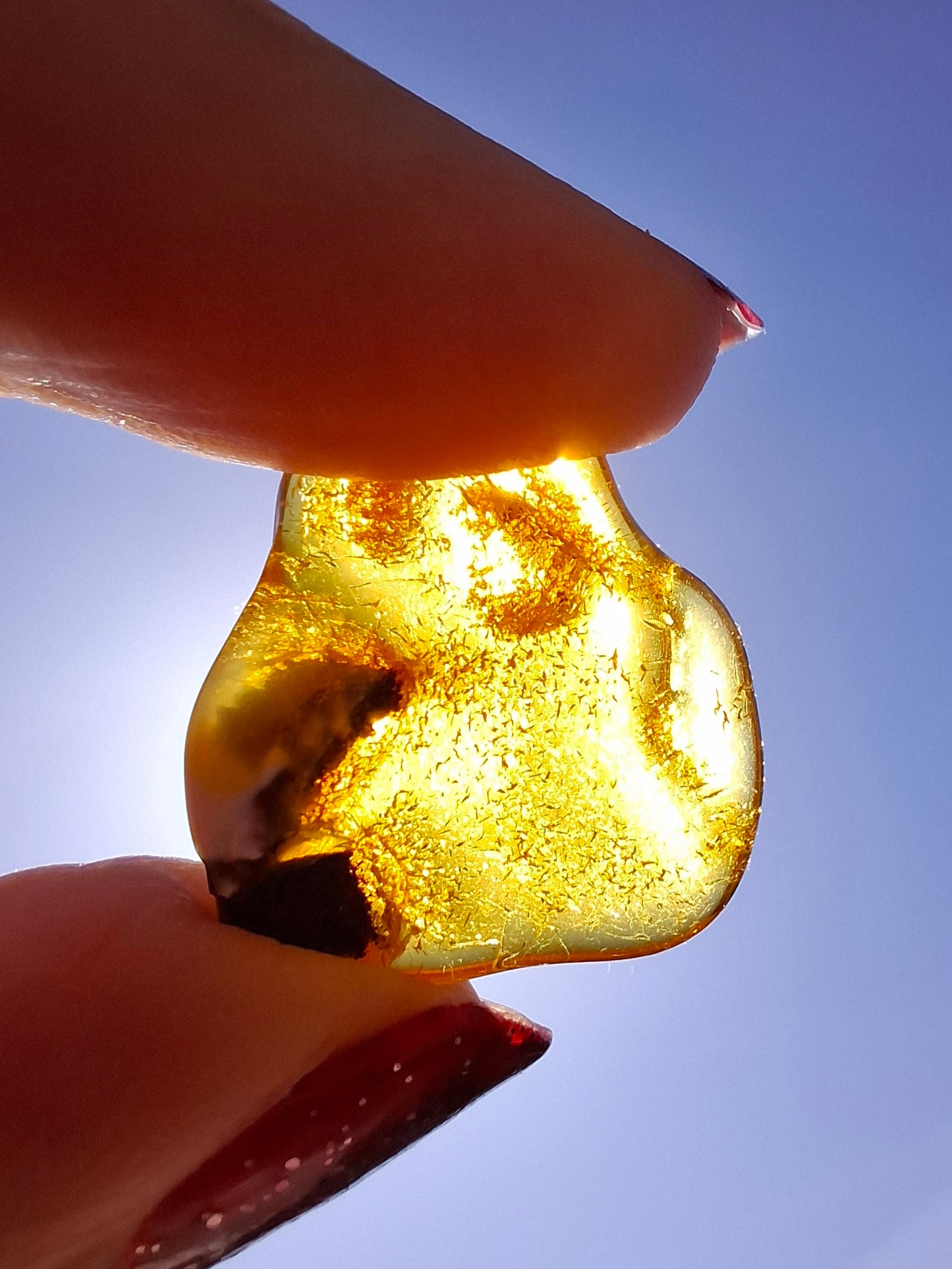 Baltic Amber, 1.45g, Fossil (Ref: A76)