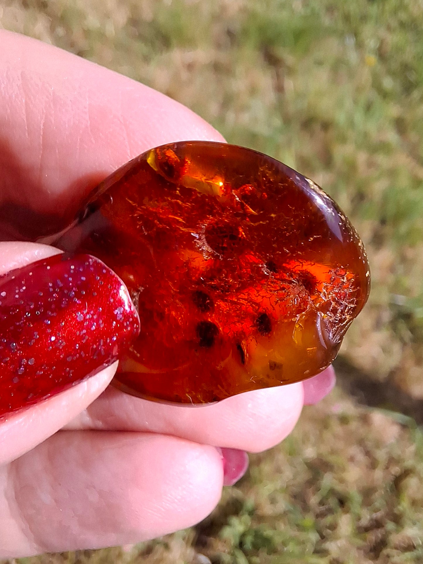 Baltic Amber, 4.50g, Fossil (Ref: A151)