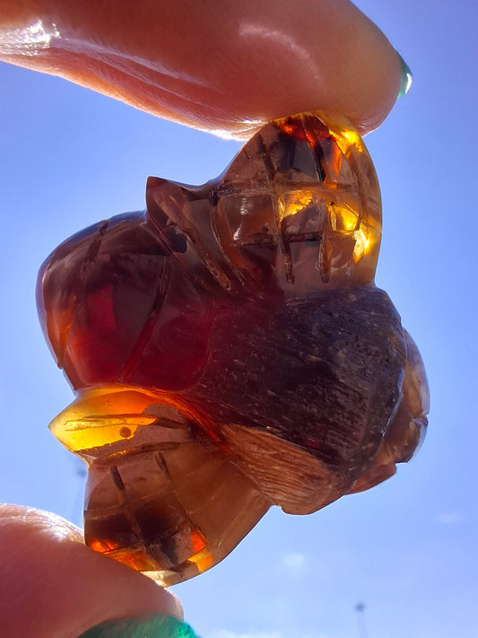 Red Amber Honey Bee Carving, 6.93g, Fossil (Ref: Bee33)