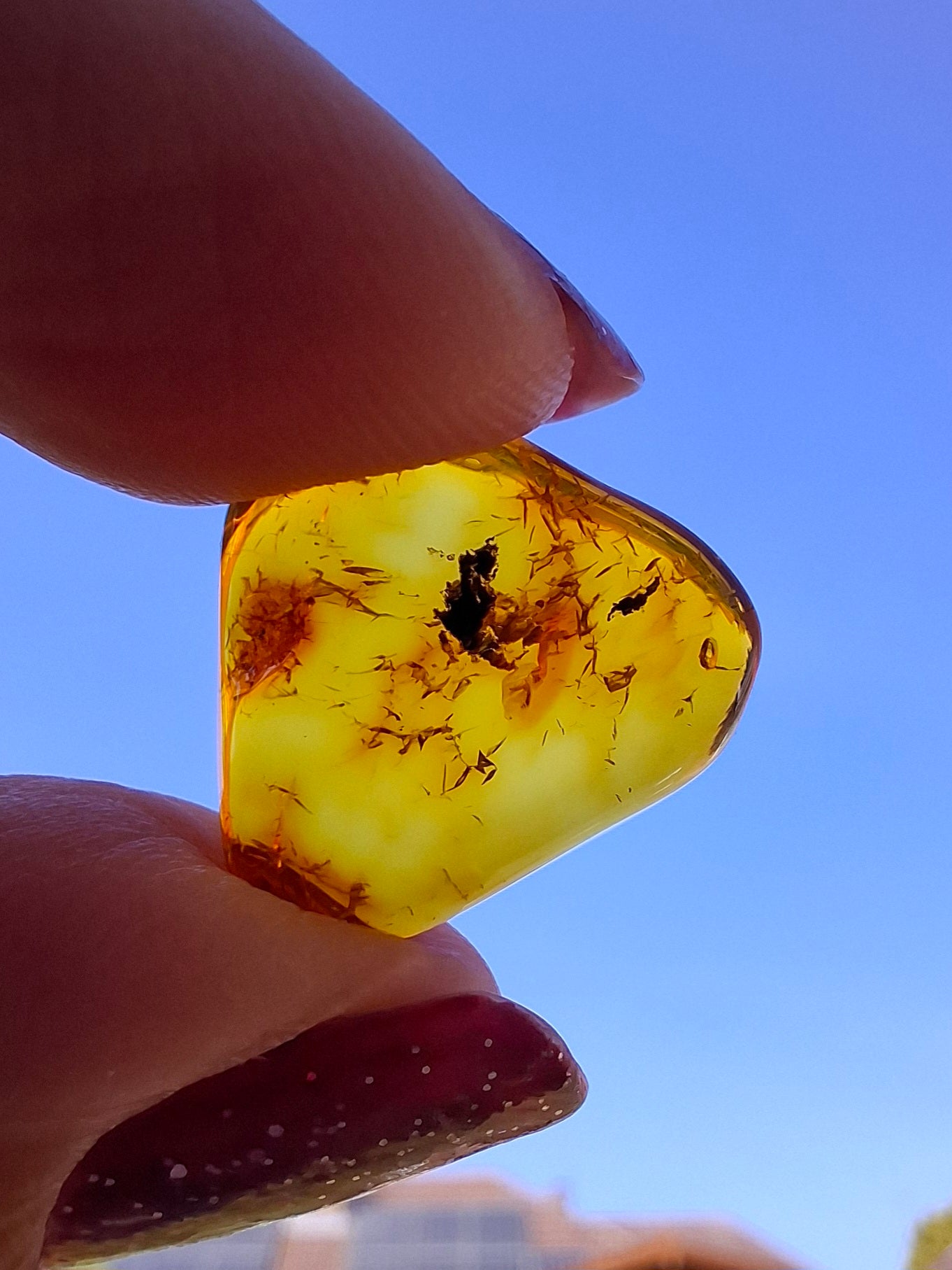 Baltic Amber, 0.97g, Fossil (Ref: A249)
