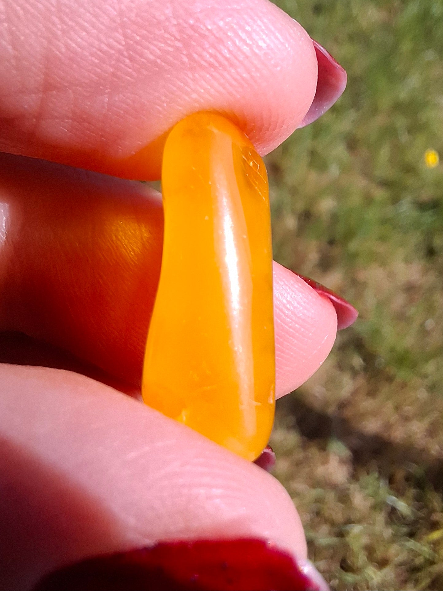 Baltic Amber, 1.20g, Fossil (Ref: A129)