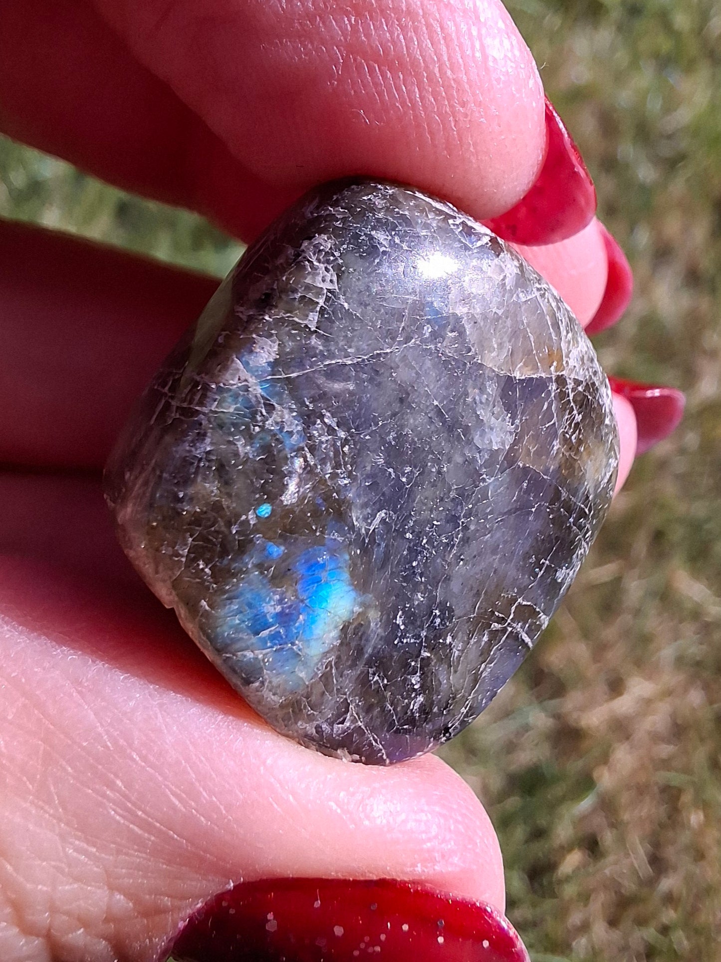 Labradorite, Tumble Stone, Crystal (Ref: T211)