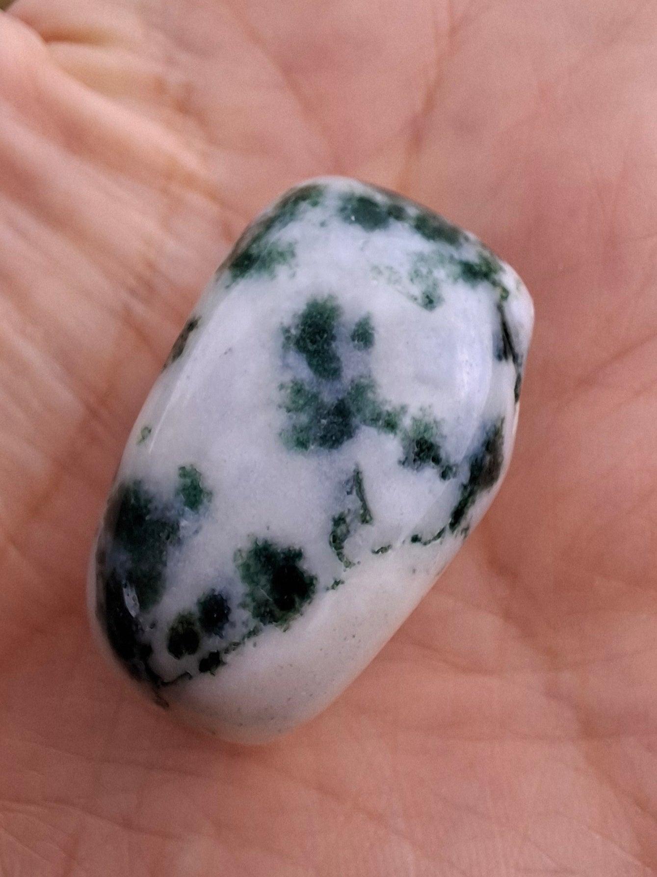 Tree Agate, Tumble Stone, Crystal (Ref: T1)