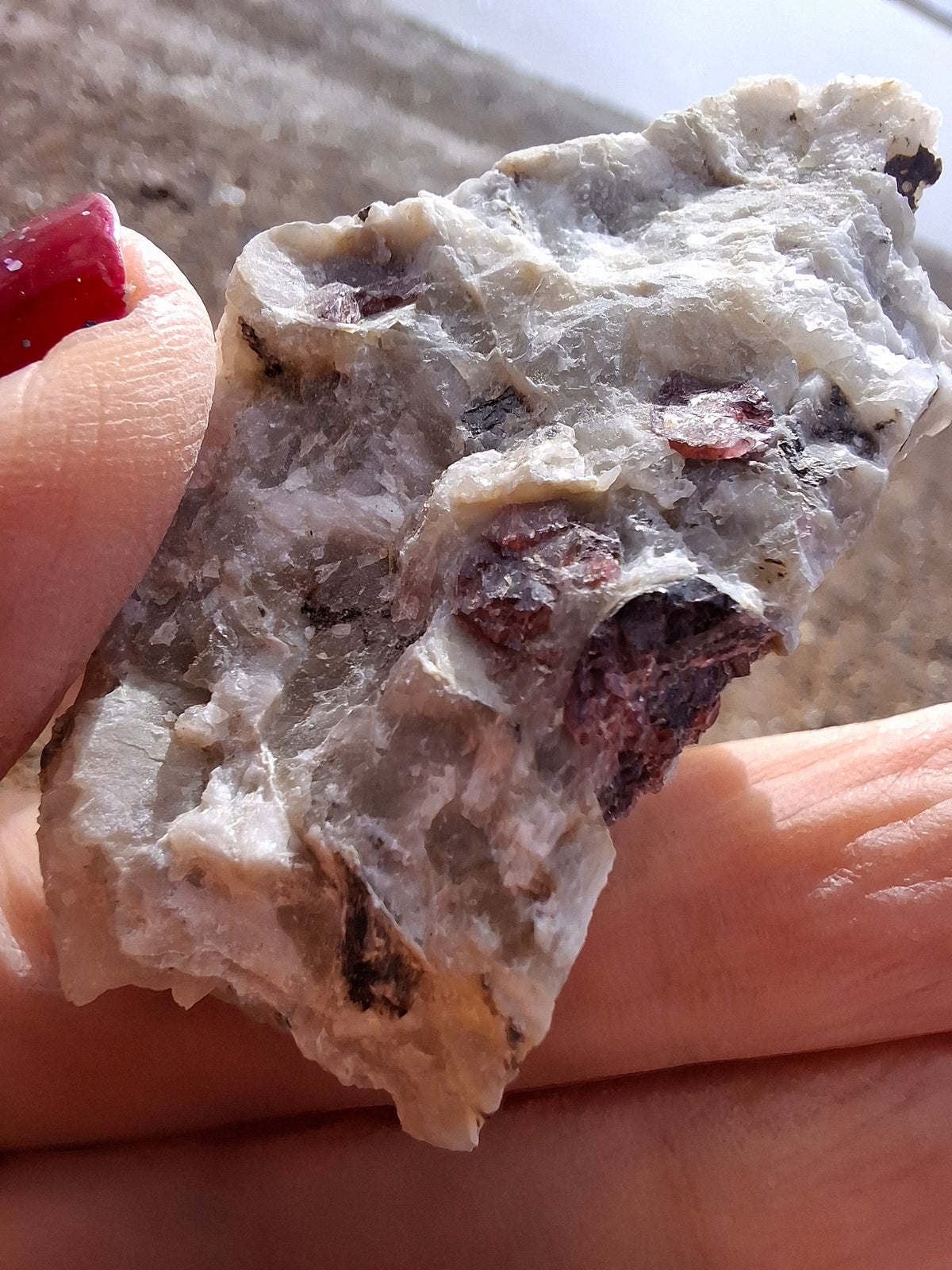 (Dig your own) Garnet in Matrix, Crystal (Ref: RG3)