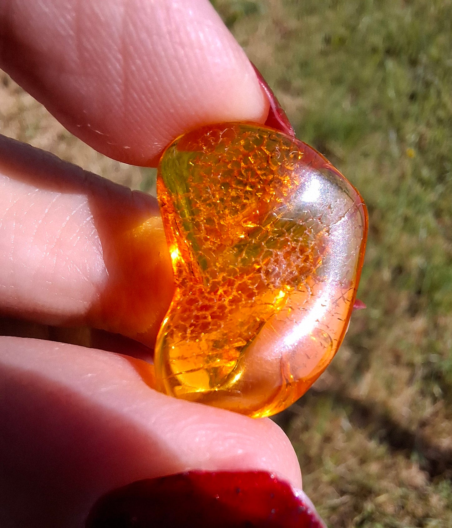 Baltic Amber, 1.07g, Fossil (Ref: A98)
