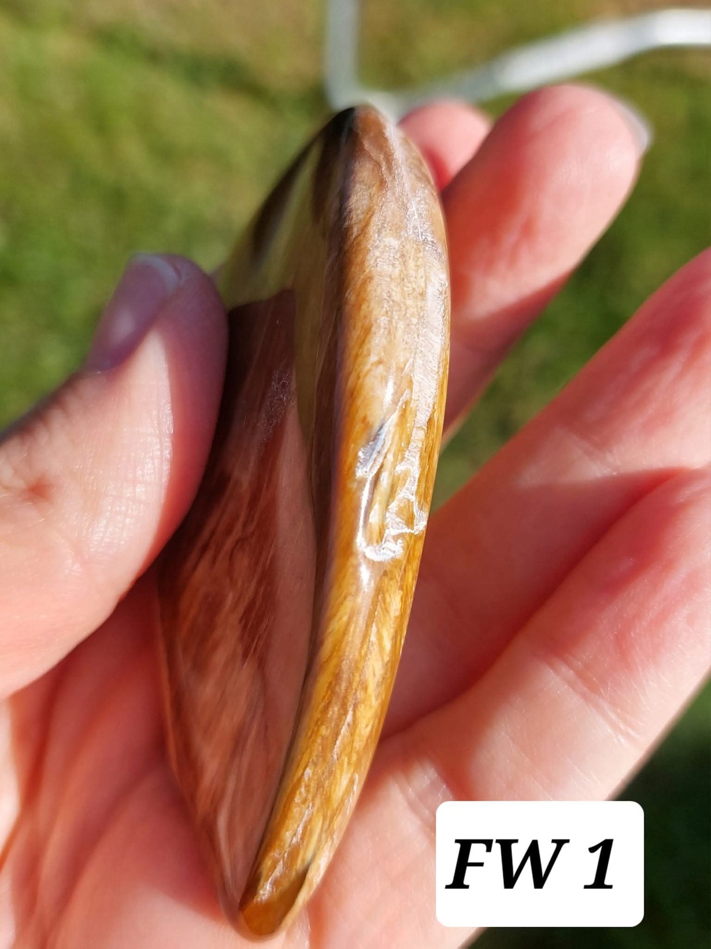 Fossilised Wood (polished), 74.86g, Fossil (Ref: FE1)