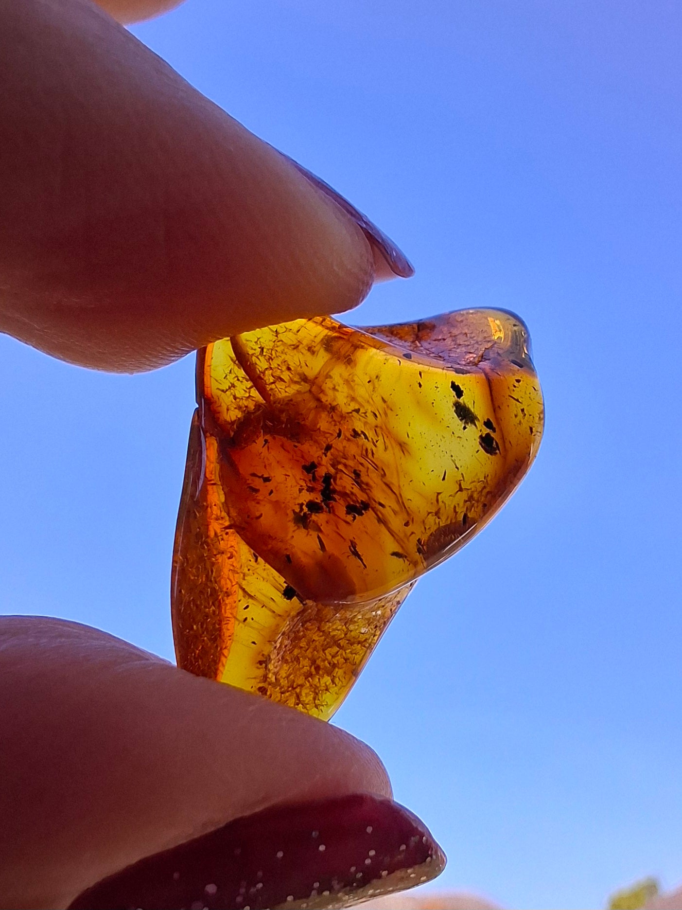 Baltic Amber, 1.47g, Fossil (Ref: A238)
