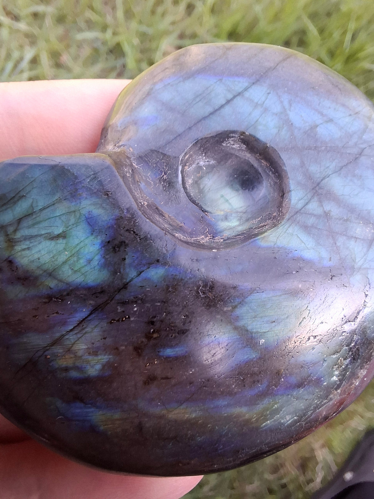 Labradorite Ammonite carving, 96.88g, Crystal (Ref: laba1)