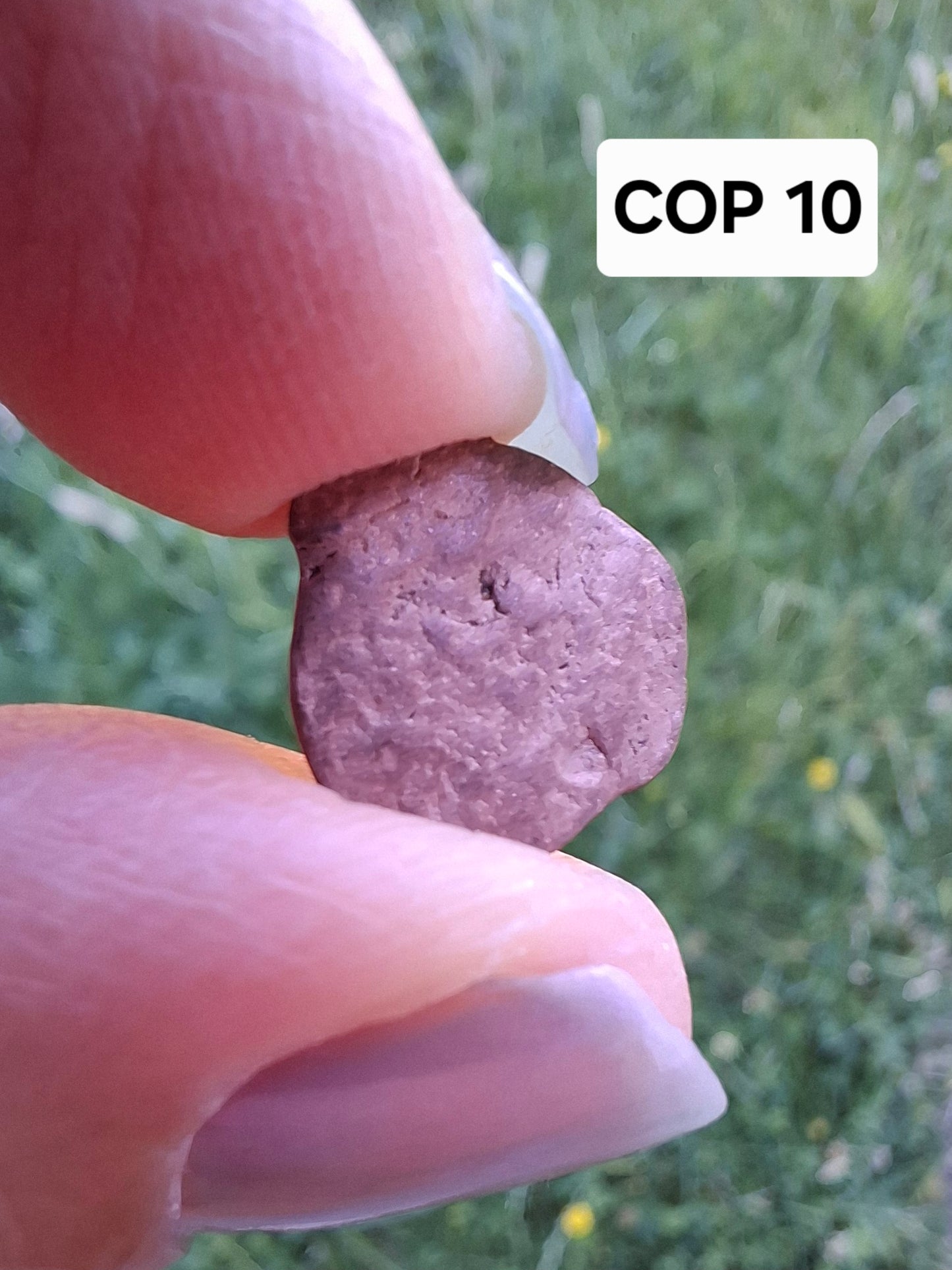 Native Copper Nugget, 0.53g, (Ref: COP10)