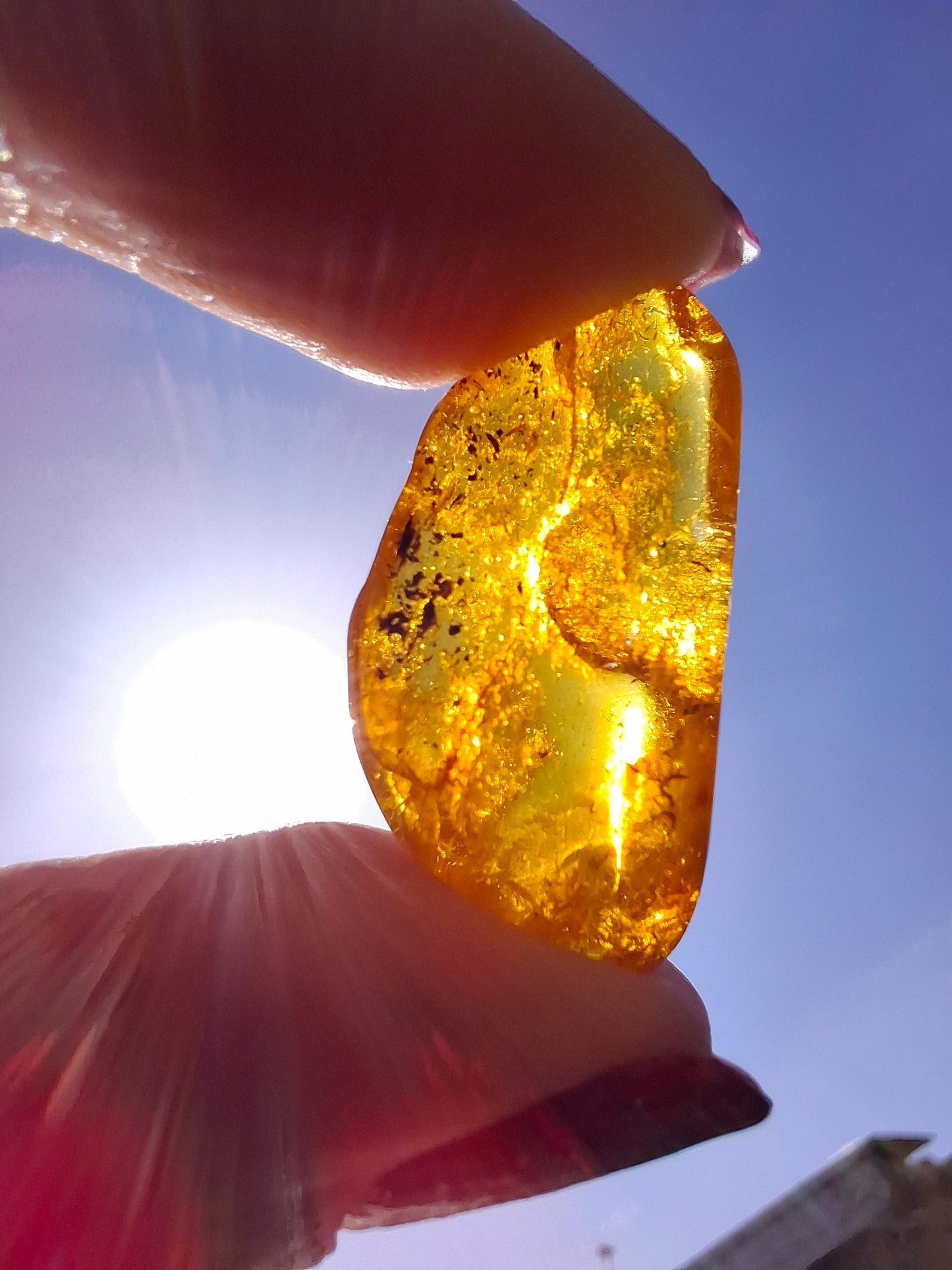 Baltic Amber, 1.39g, Fossil (Ref: A181)