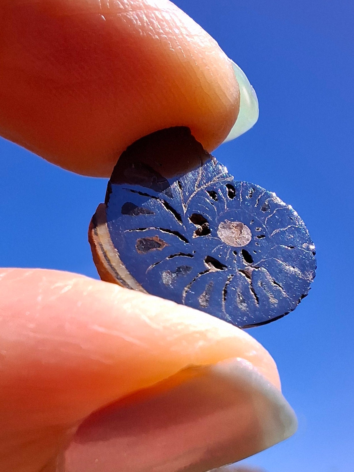 Small Haematite Ammonite HALF, 1.32g, Fossil (Ref: MA5)