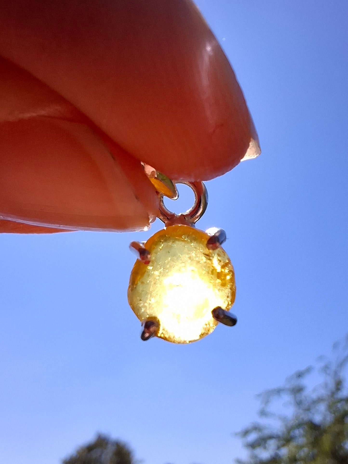 Baltic Amber Pendant, 925 Silver, Fossil (Ref: Ap15)