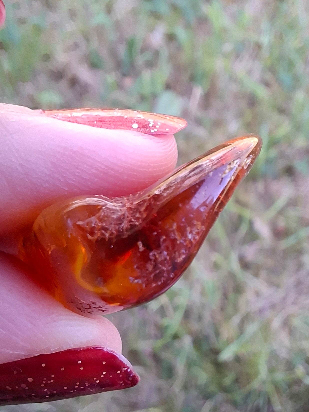 Baltic Amber, 4.50g, Fossil (Ref: A151)