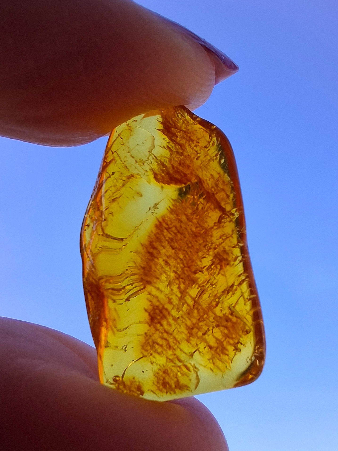 Baltic Amber, 1.11g, Fossil (Ref: A255)