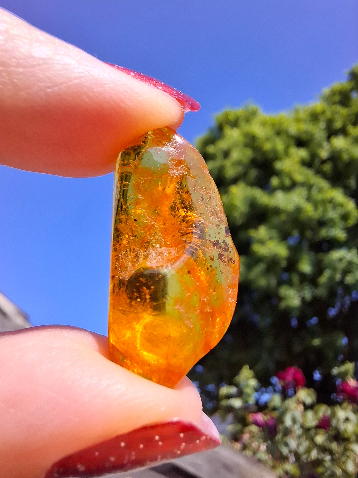 Baltic Amber, 1.39g, Fossil (Ref: A181)
