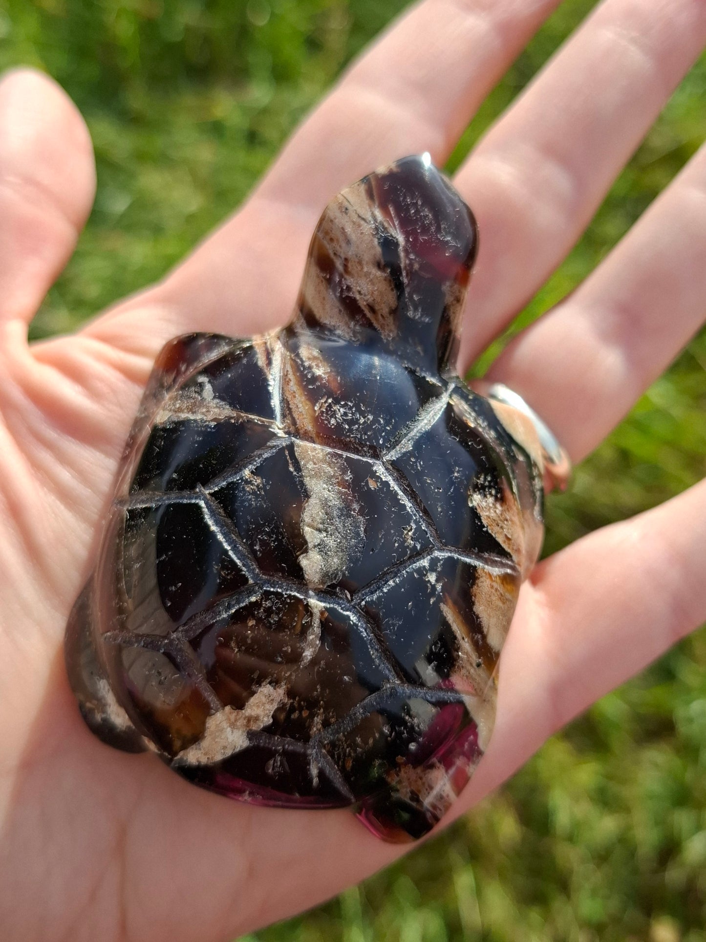 Red Amber Turtle, 50.00g, Carving, Fossil (Ref: TT6)