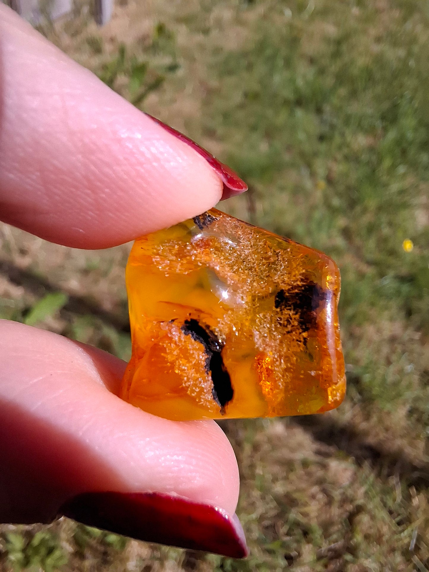Baltic Amber, 1.74g, Fossil (Ref: A201)