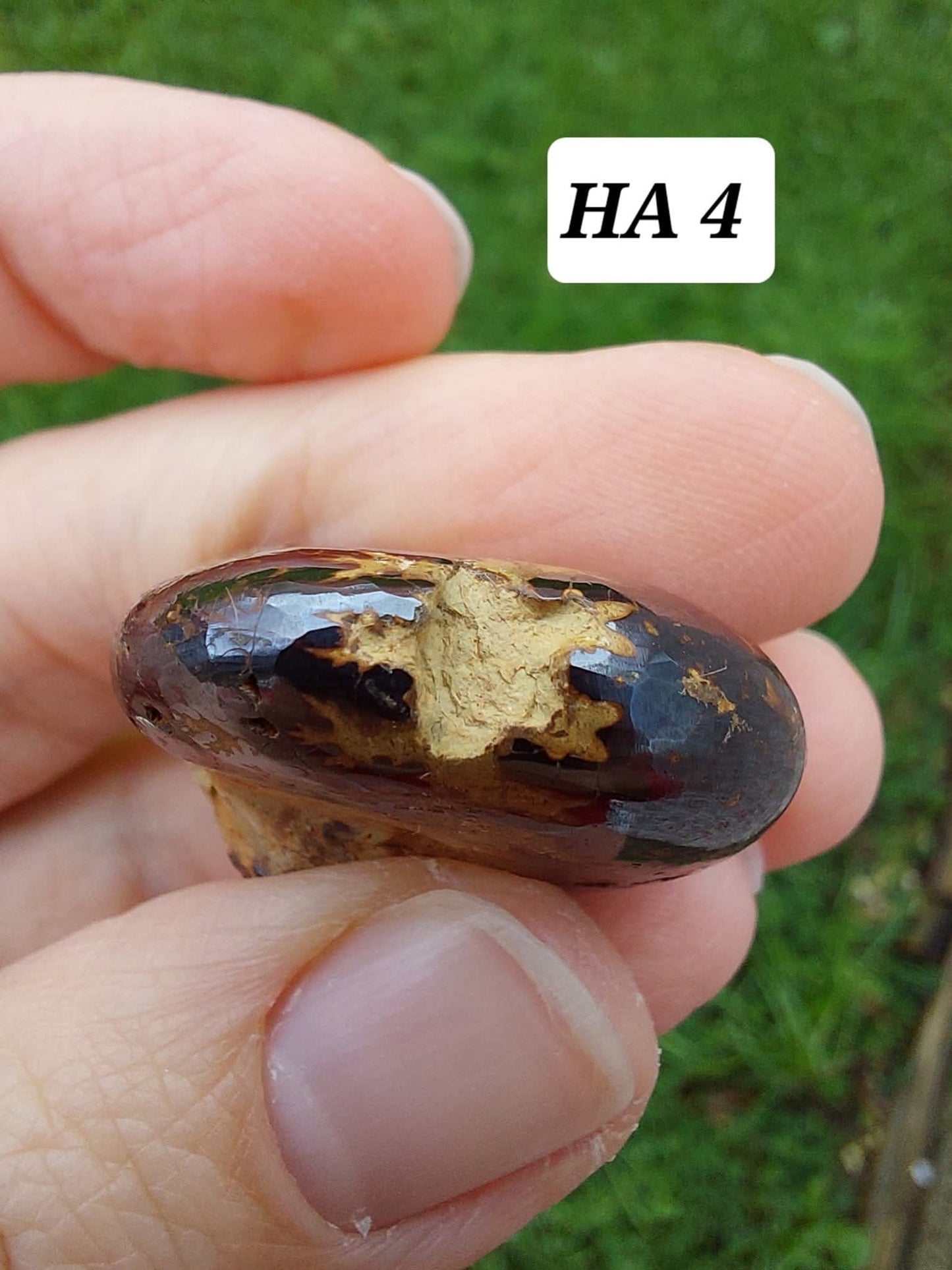 Hematite Ammonite, 18.26g, Fossil (Ref: HA4)