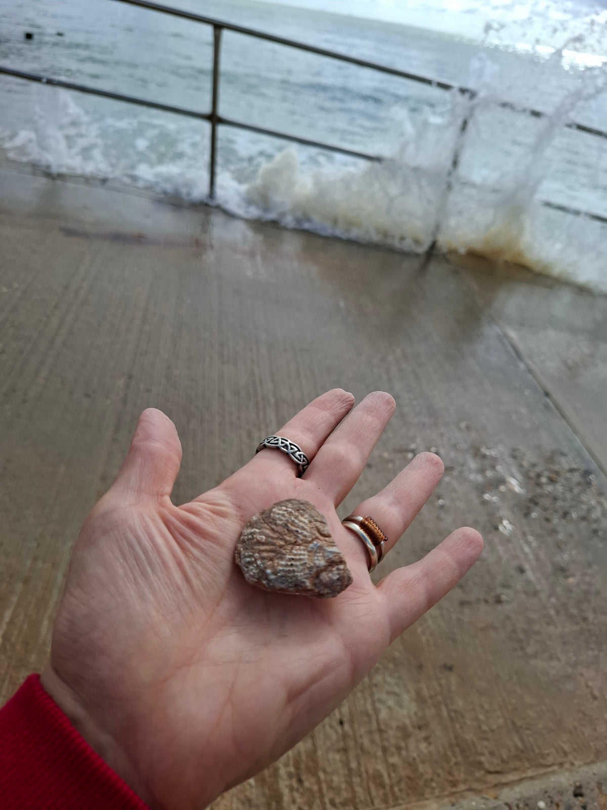 Chalcedony Oyster, Fossil (Ref: FO8)