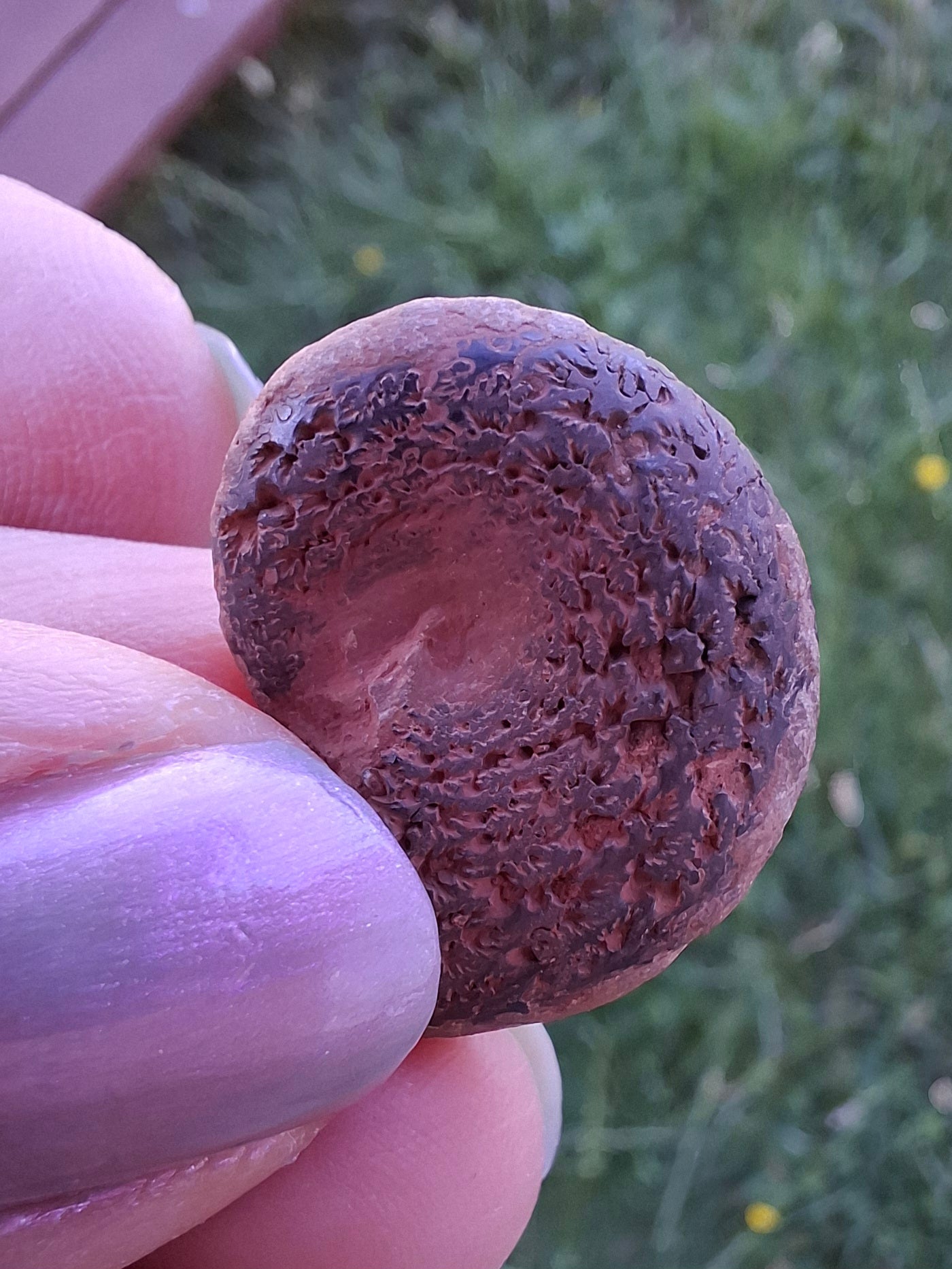 Small Haematite Ammonite HALF, 2.55g, Fossil (Ref: MA8)