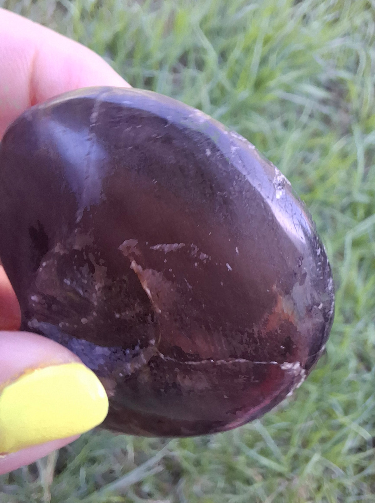 Labradorite Ammonite Carving, 89.31g, Crystal (Ref: laba6)