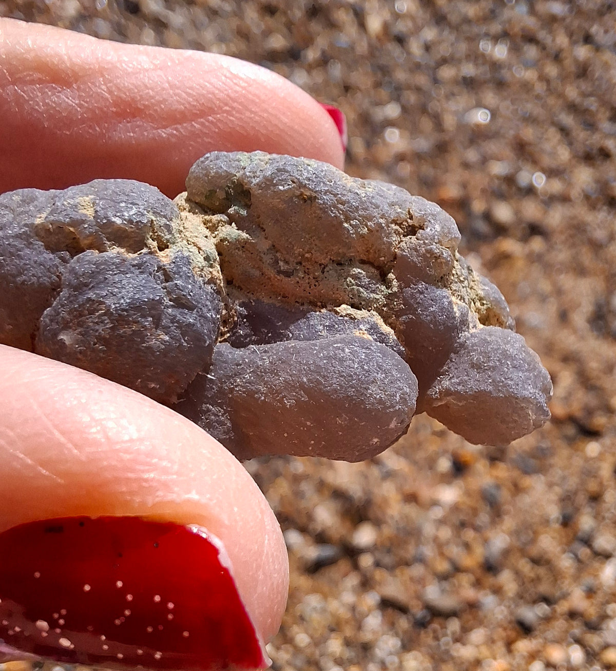Nebula Chalcedony, 16.92g, Fossil (Ref: NC6)