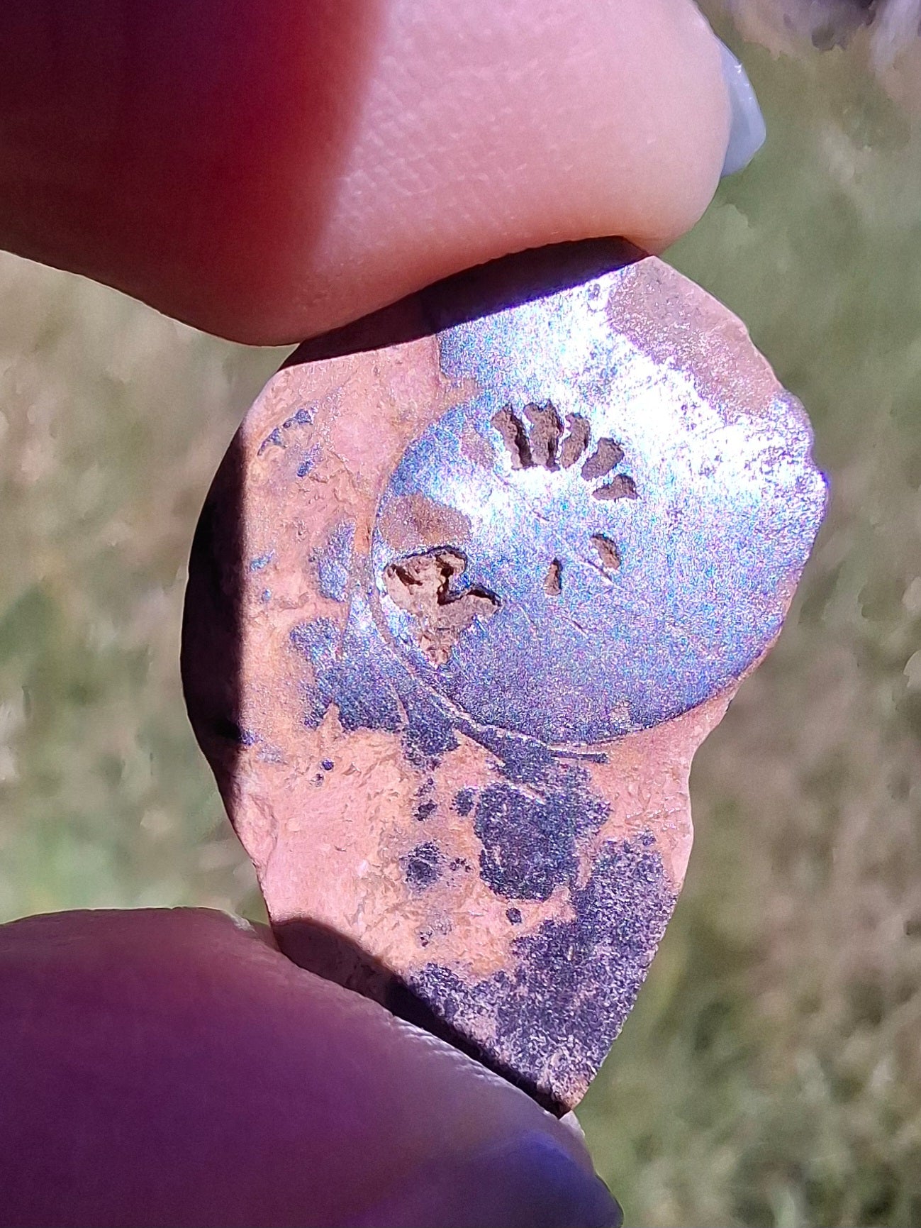 Small Haematite Ammonite Halves BUNDLE, (7 pcs), Fossil (Ref: MA13)