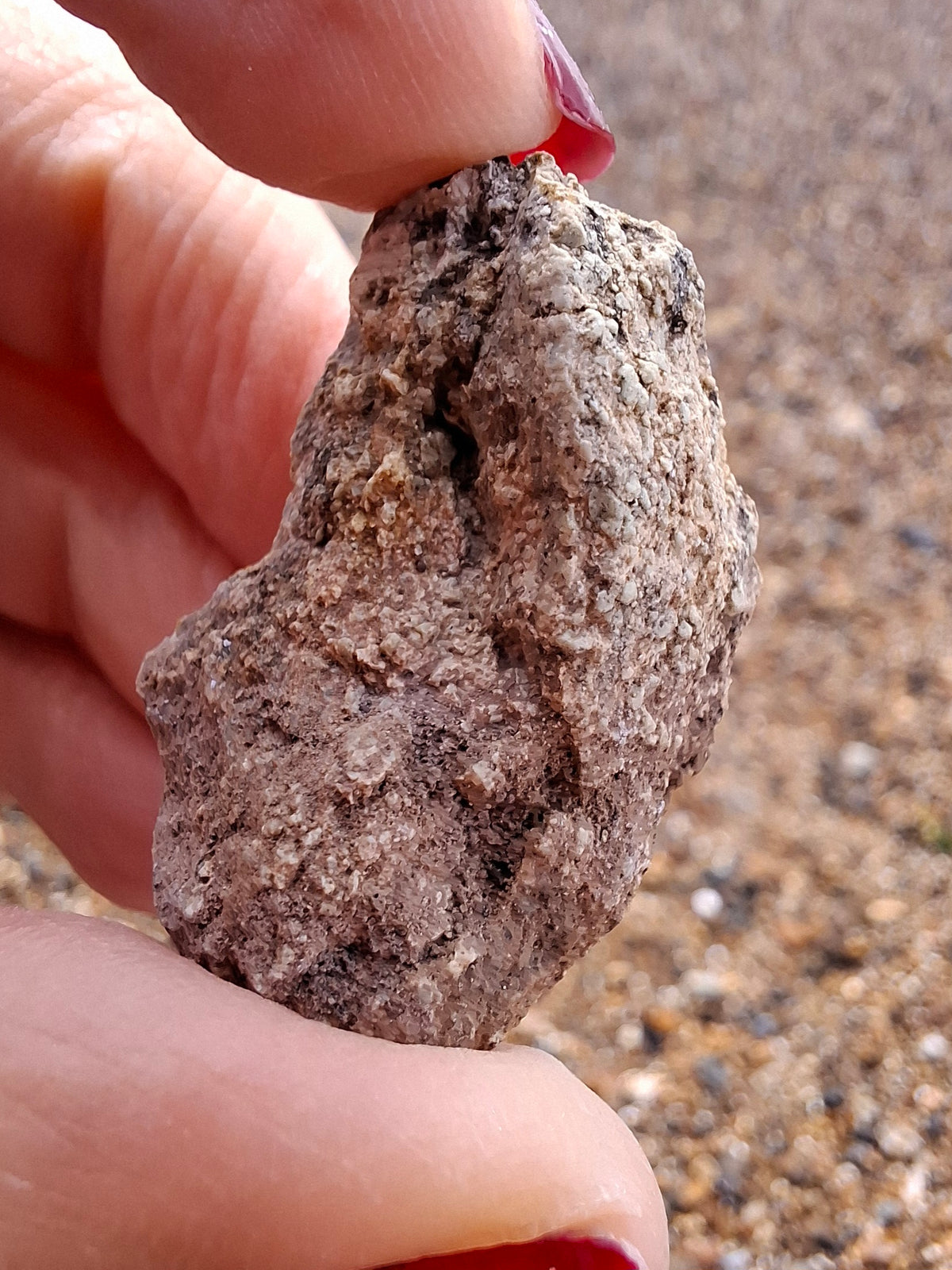 Sauropod Dinosaur Coprolite, 12.82g, Fossil (Ref: DP1)