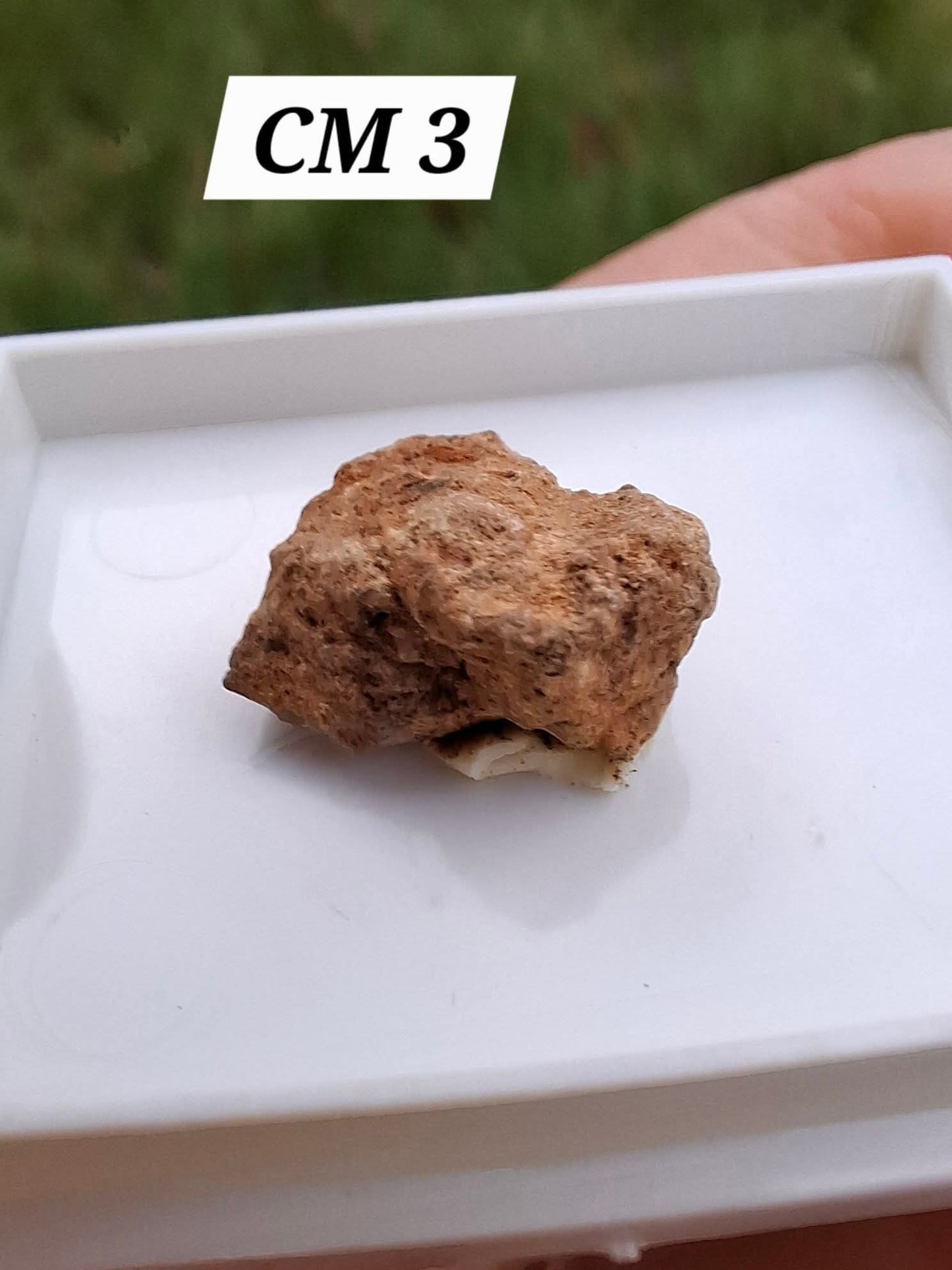 Chondrite, Meteorite (Ref: CM3)